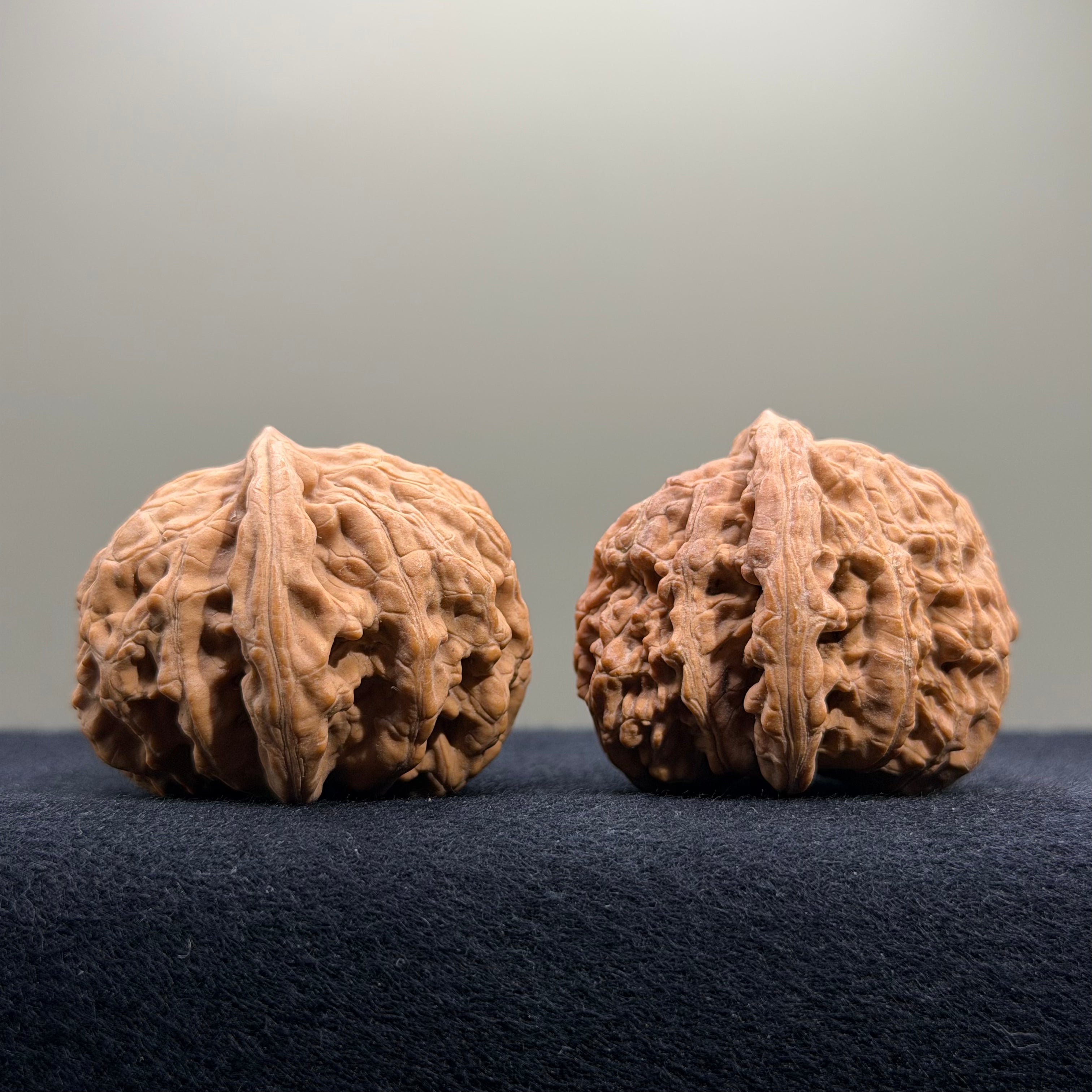 Coiled Dragon Tiger Head Wenwan Walnut · 40mm · Natural · Entry Ritual