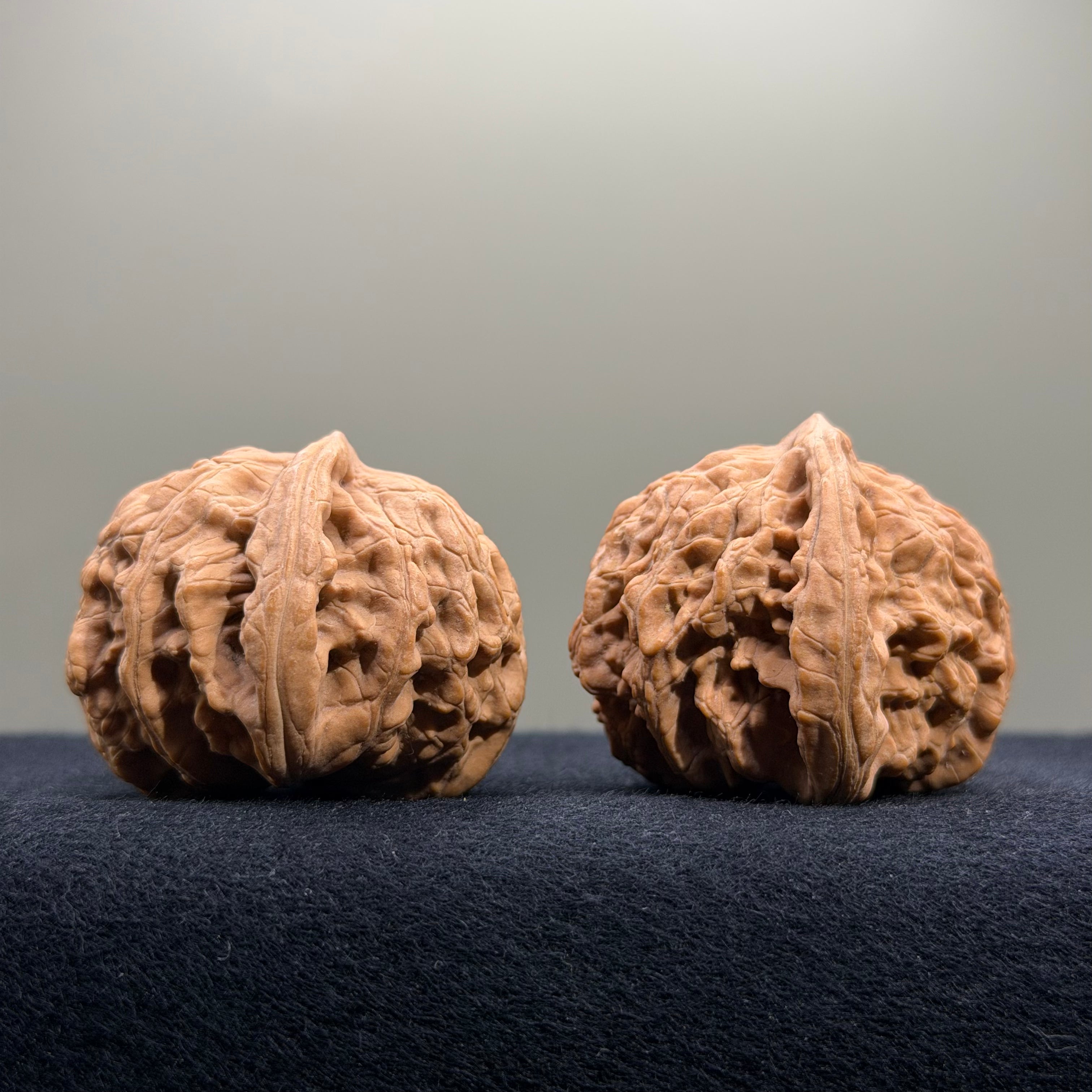 Coiled Dragon Tiger Head Wenwan Walnut · 40mm · Natural · Entry Ritual