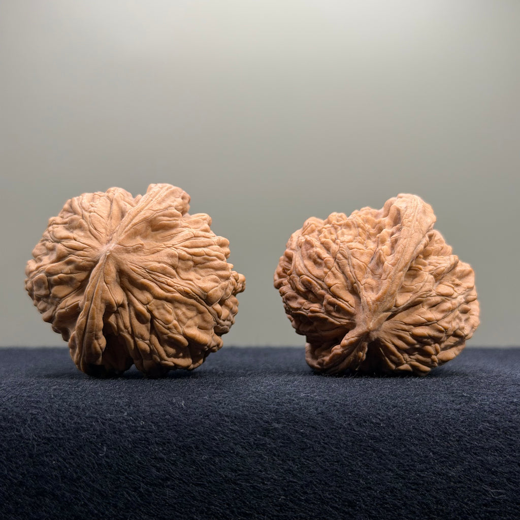 Coiled Dragon Tiger Head Wenwan Walnut · 40mm · Natural · Entry Ritual