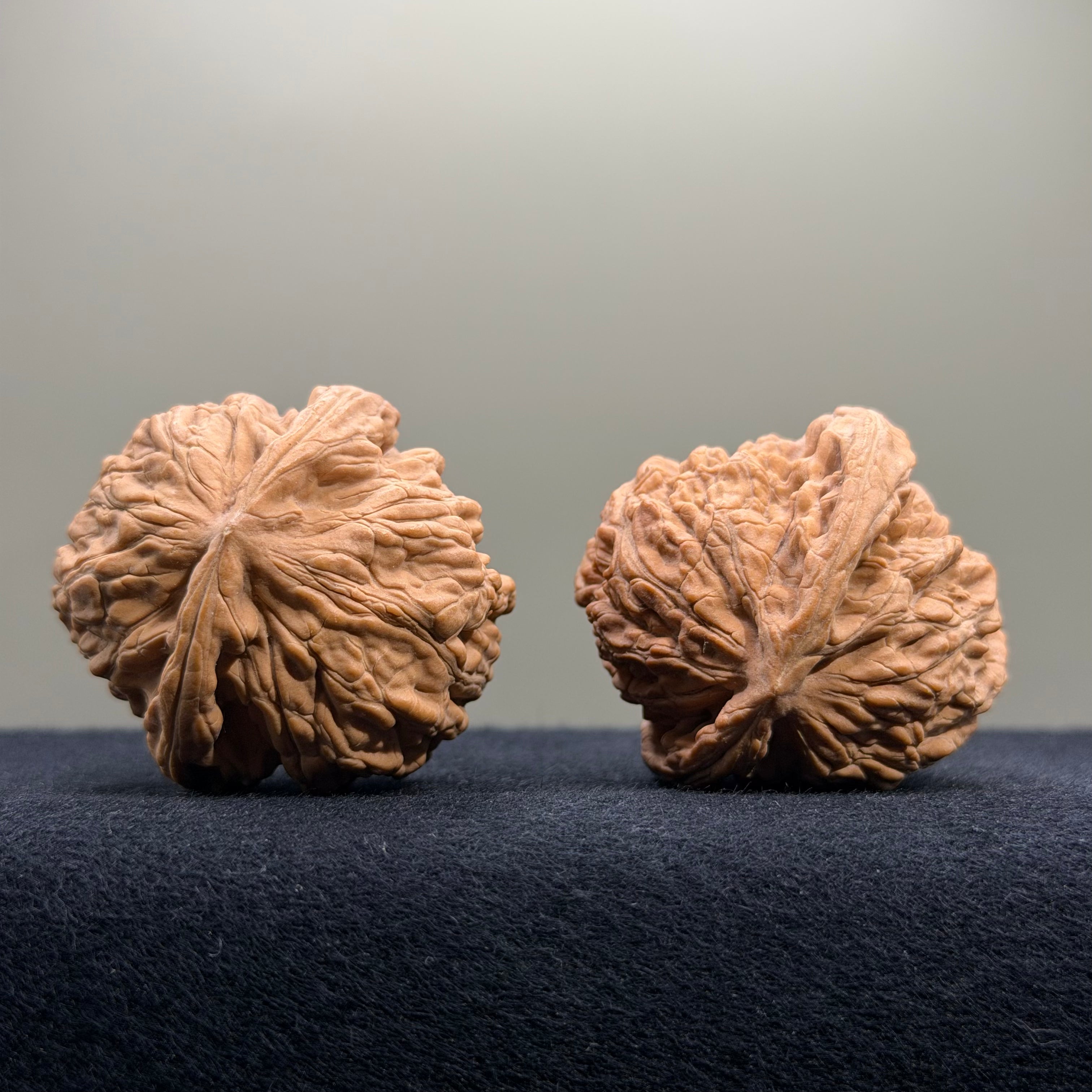 Coiled Dragon Tiger Head Wenwan Walnut · 40mm · Natural · Entry Ritual