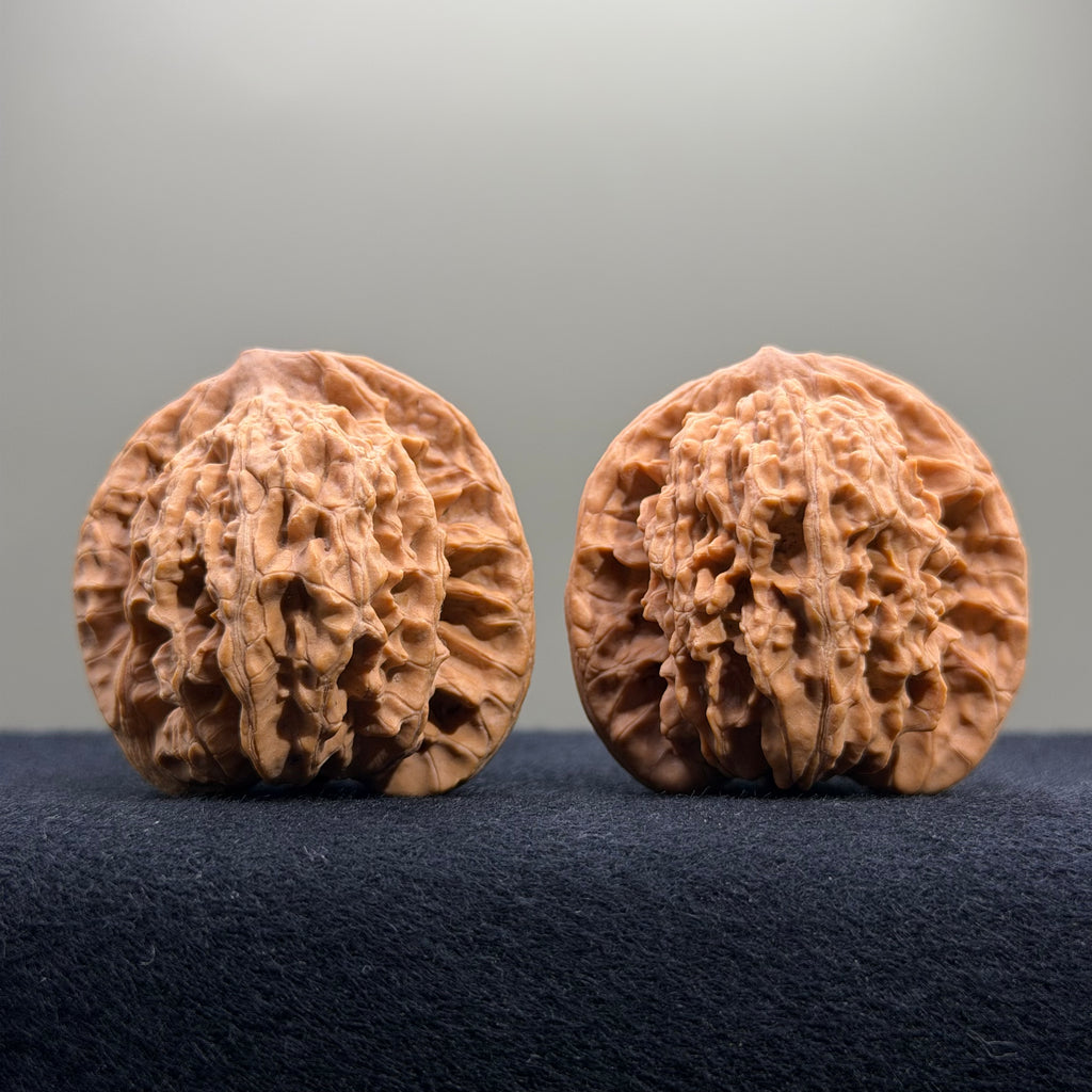 Coiled Dragon Tiger Head Wenwan Walnut · 41mm · Natural · Entry Ritual