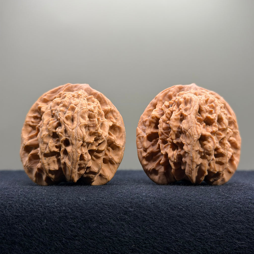 Coiled Dragon Tiger Head Wenwan Walnut · 41mm · Natural · Entry Ritual