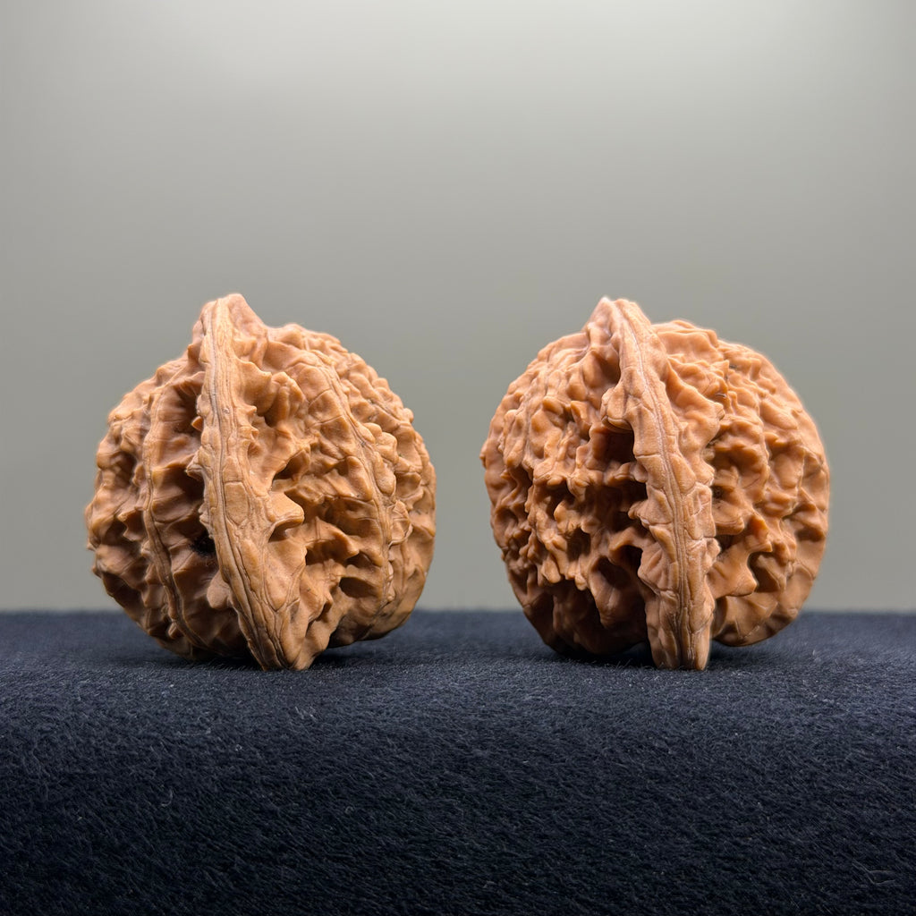 Coiled Dragon Tiger Head Wenwan Walnut · 41mm · Natural · Entry Ritual