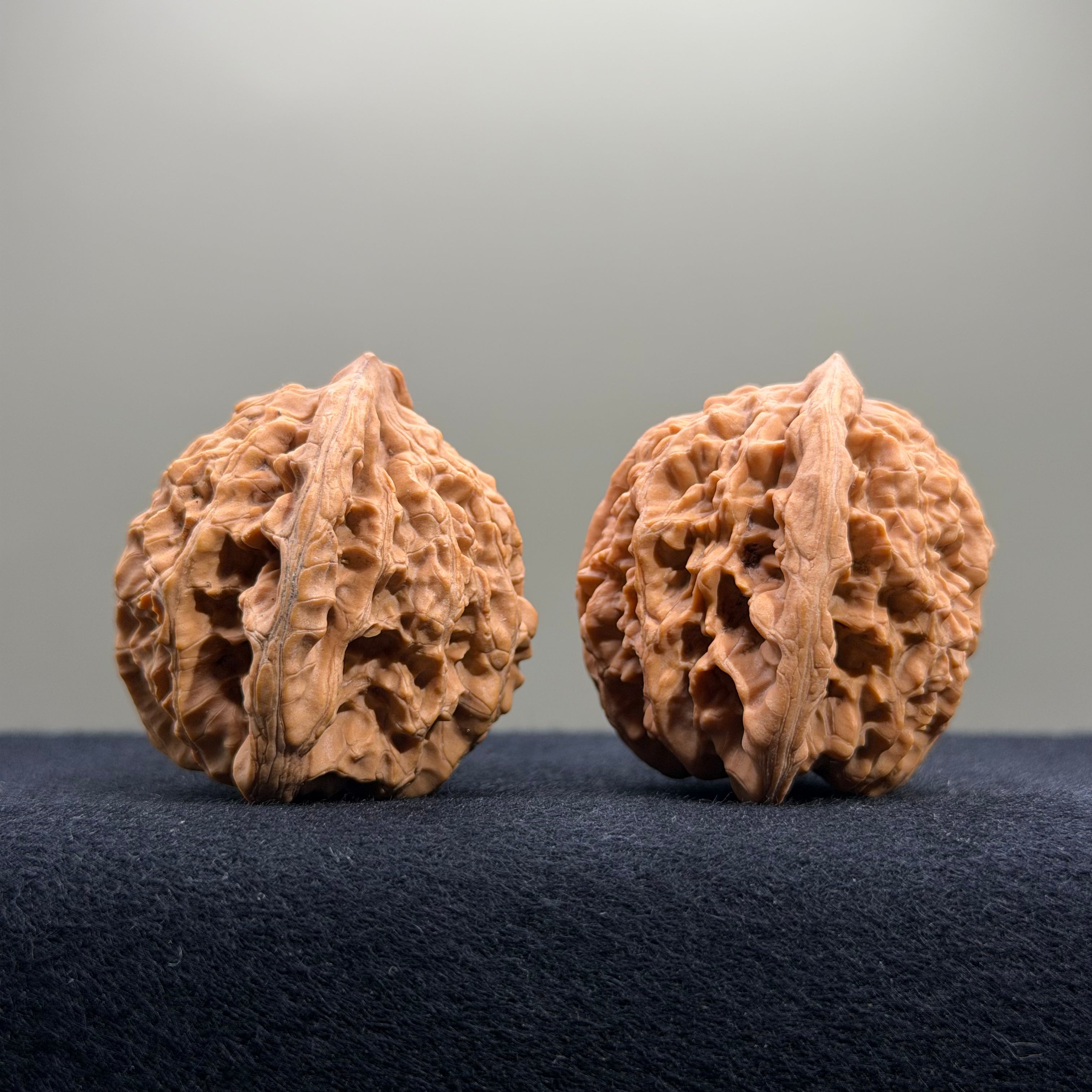Coiled Dragon Tiger Head Wenwan Walnut · 41mm · Natural · Entry Ritual