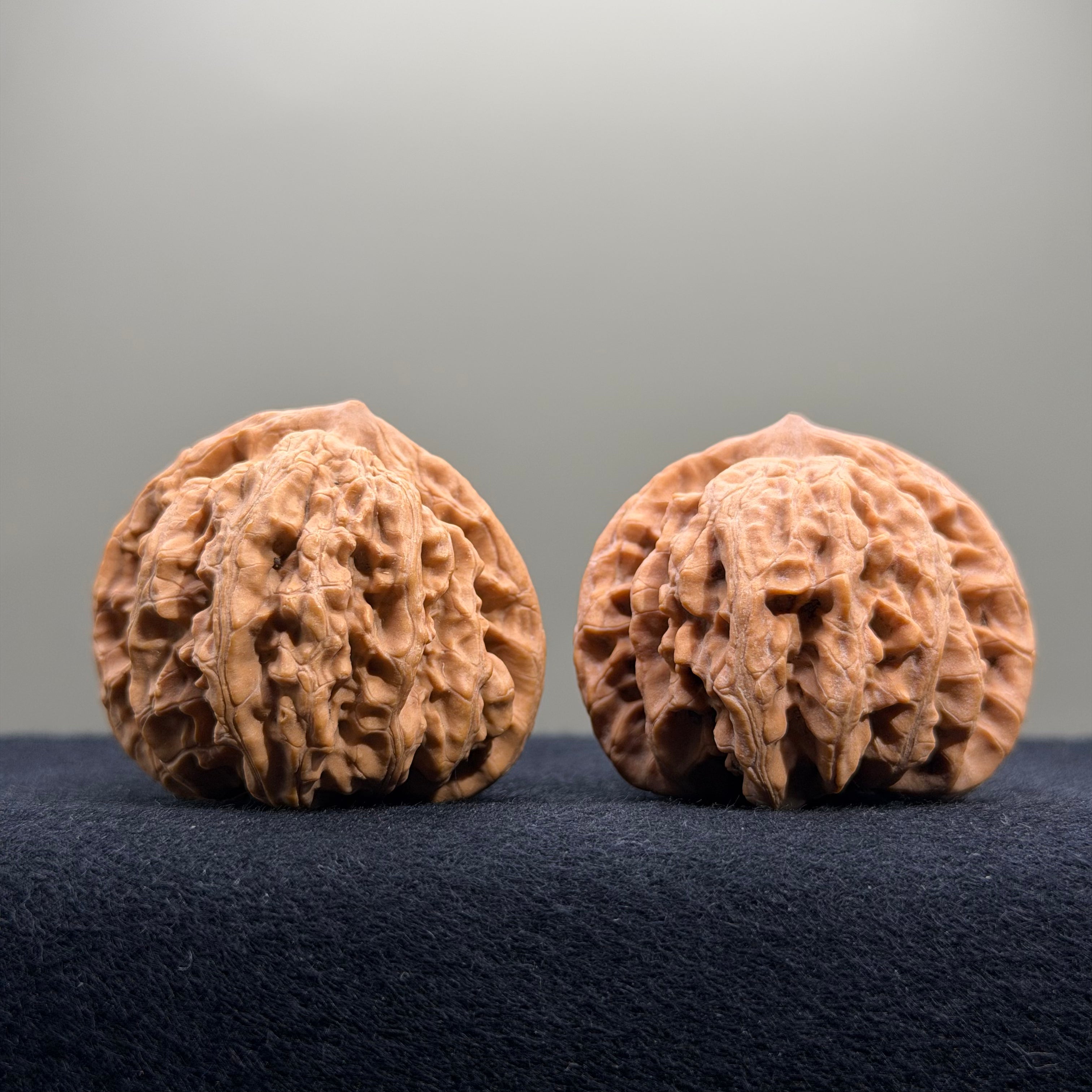Coiled Dragon Tiger Head Wenwan Walnut · 40mm · Natural · Entry Ritual