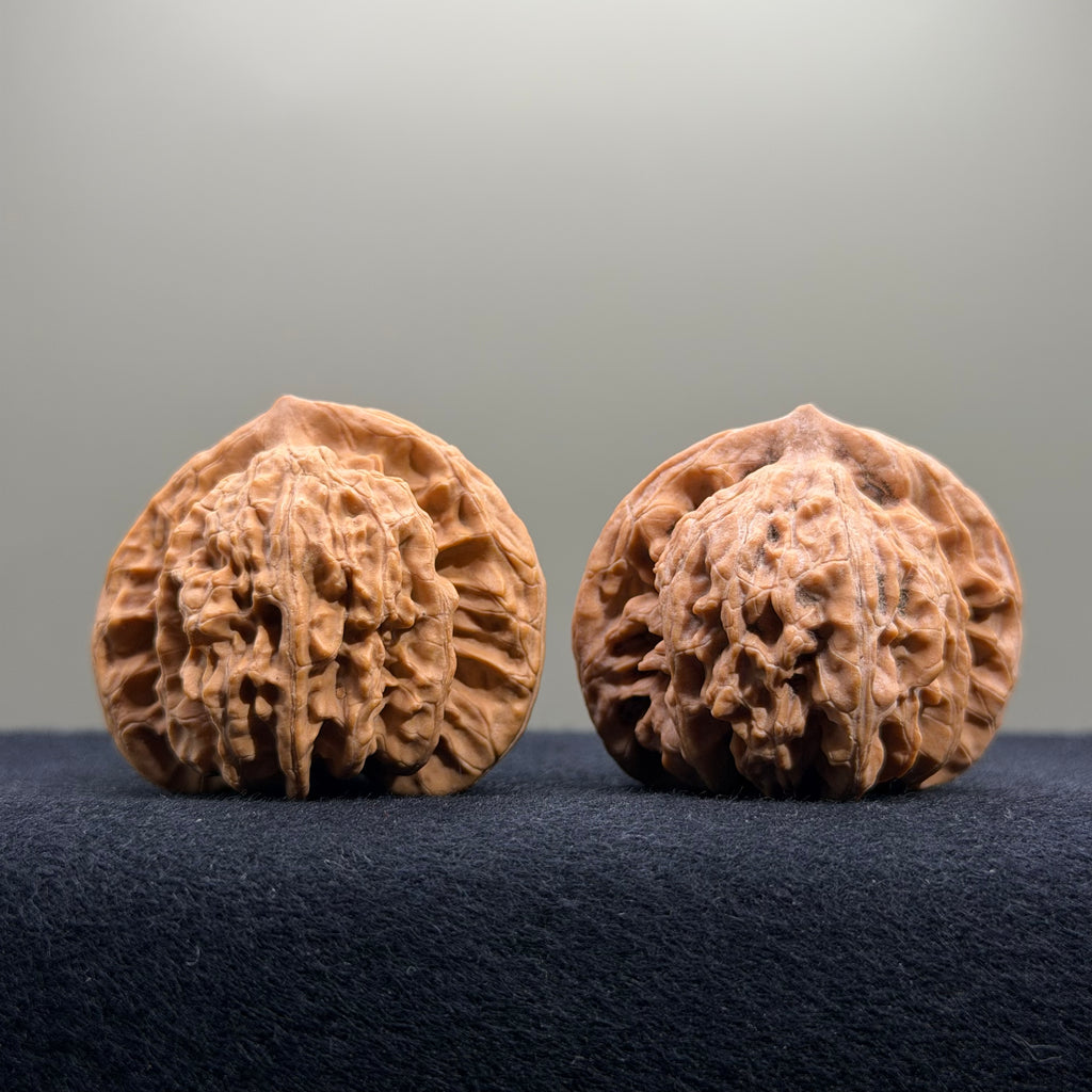 Coiled Dragon Tiger Head Wenwan Walnut · 40mm · Natural · Entry Ritual
