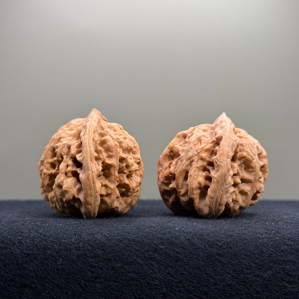Coiled Dragon Tiger Head Wenwan Walnut · 40mm · Natural · Entry Ritual
