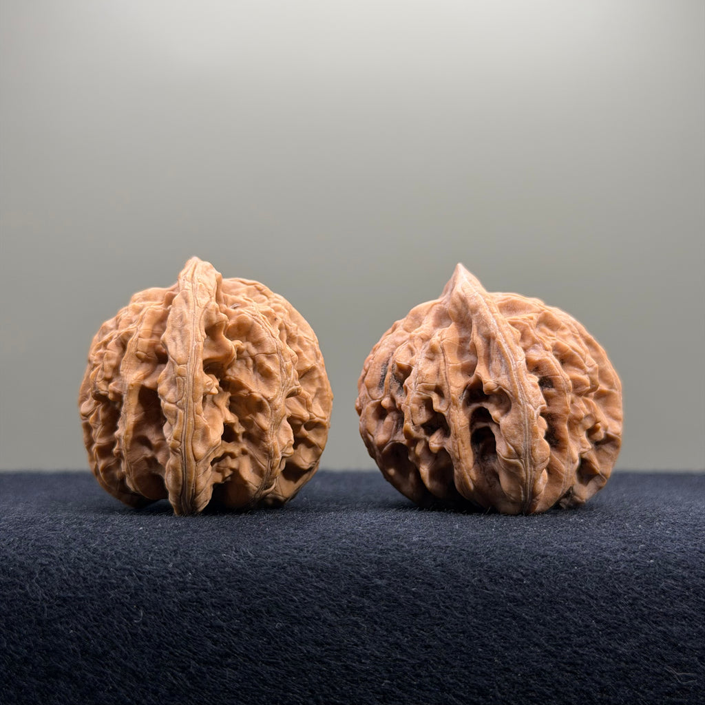 Coiled Dragon Tiger Head Wenwan Walnut · 40mm · Natural · Entry Ritual