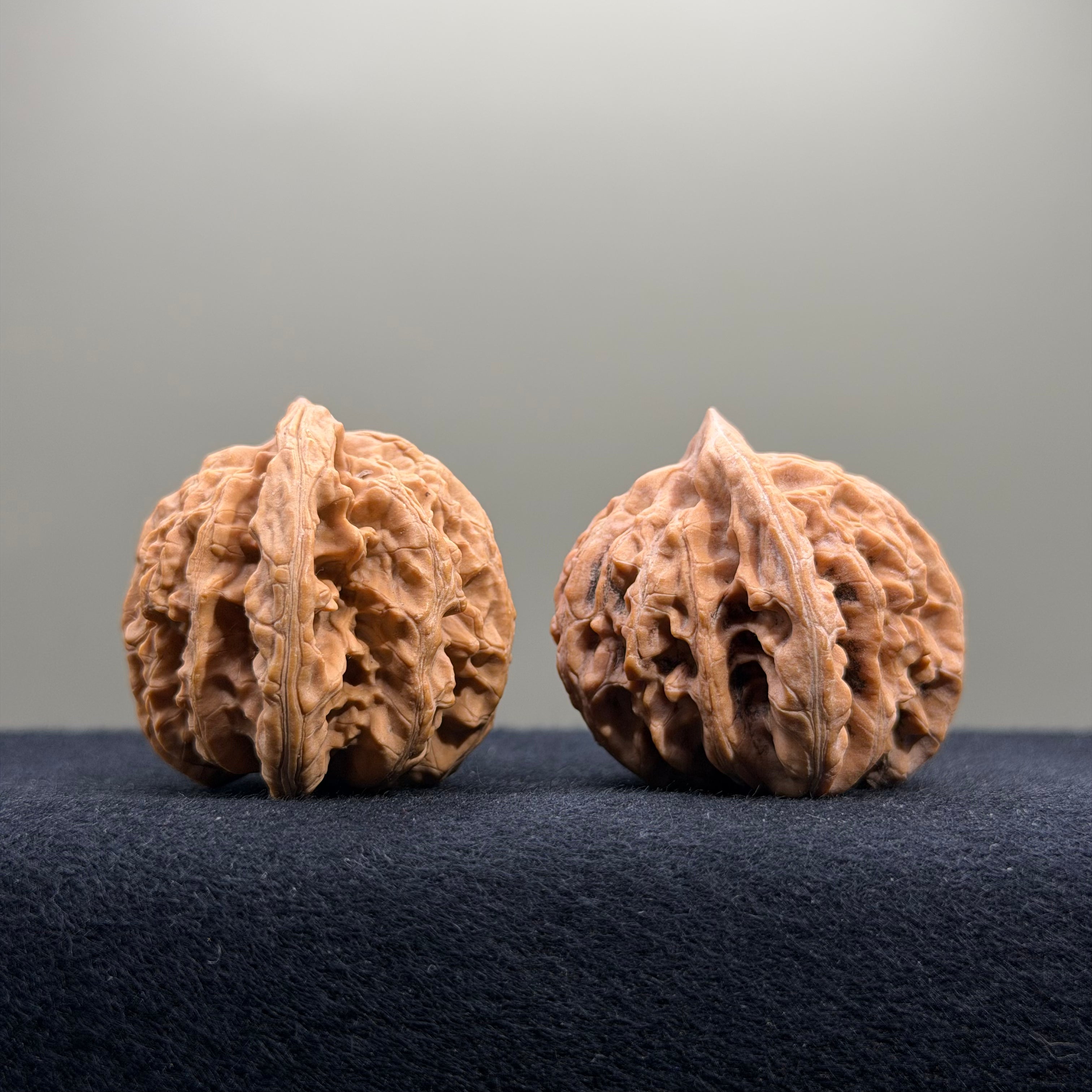 Coiled Dragon Tiger Head Wenwan Walnut · 40mm · Natural · Entry Ritual