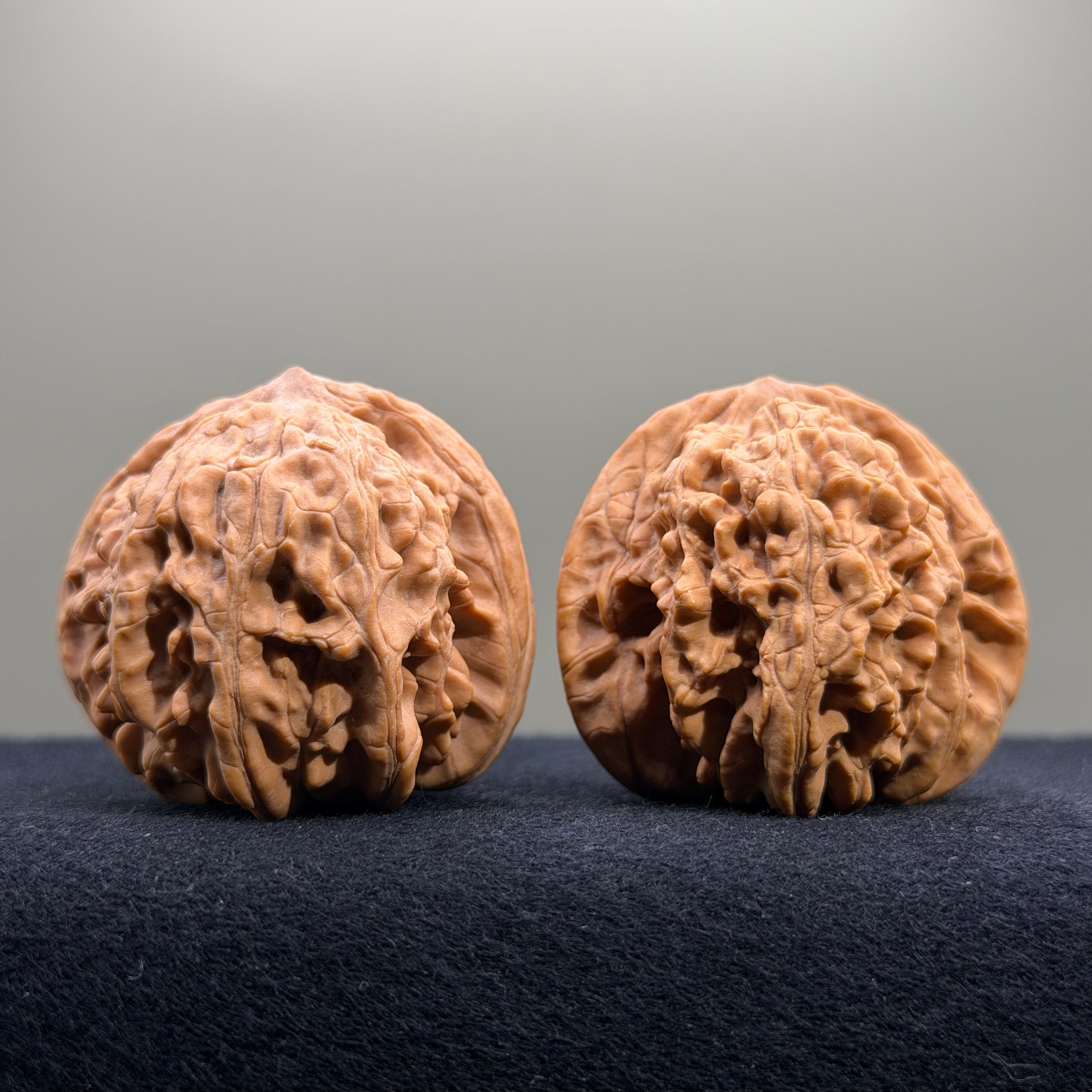 Coiled Dragon Tiger Head Wenwan Walnut · 41mm · Natural · Entry Ritual