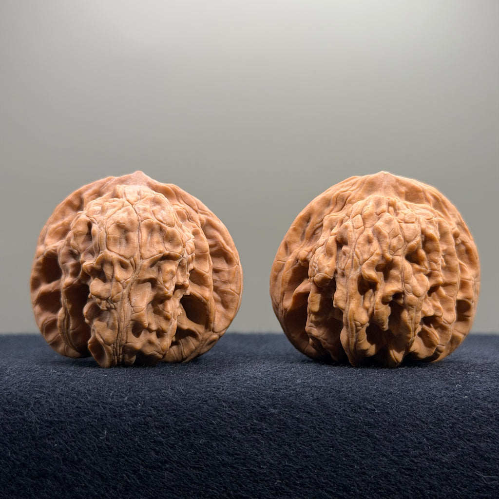 Coiled Dragon Tiger Head Wenwan Walnut · 41mm · Natural · Entry Ritual