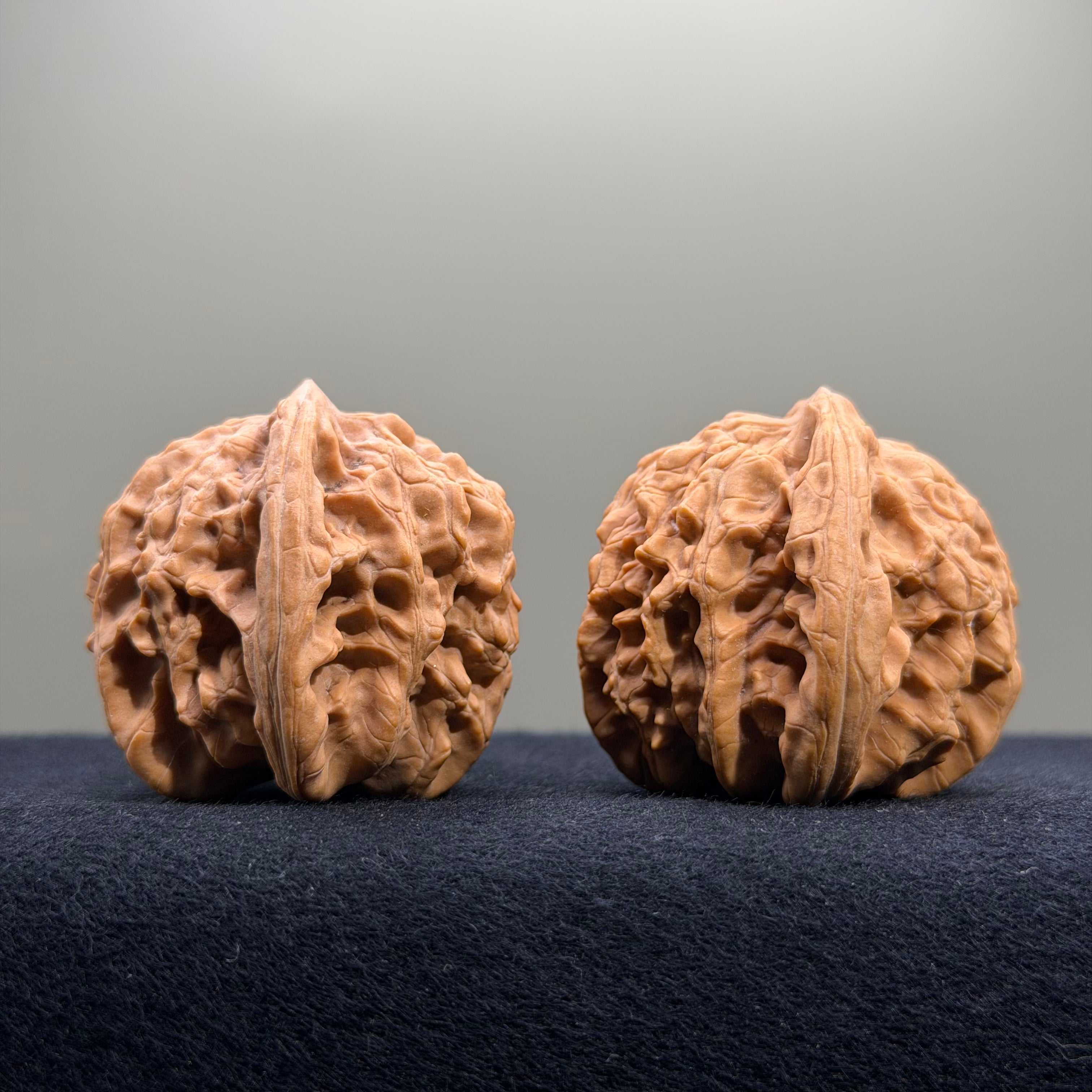 Coiled Dragon Tiger Head Wenwan Walnut · 41mm · Natural · Entry Ritual