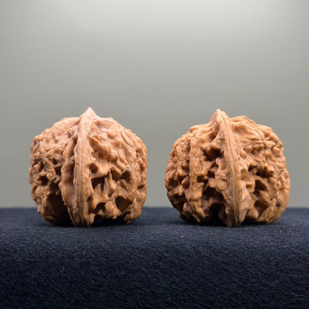 Coiled Dragon Tiger Head Wenwan Walnut · 41mm · Natural · Entry Ritual