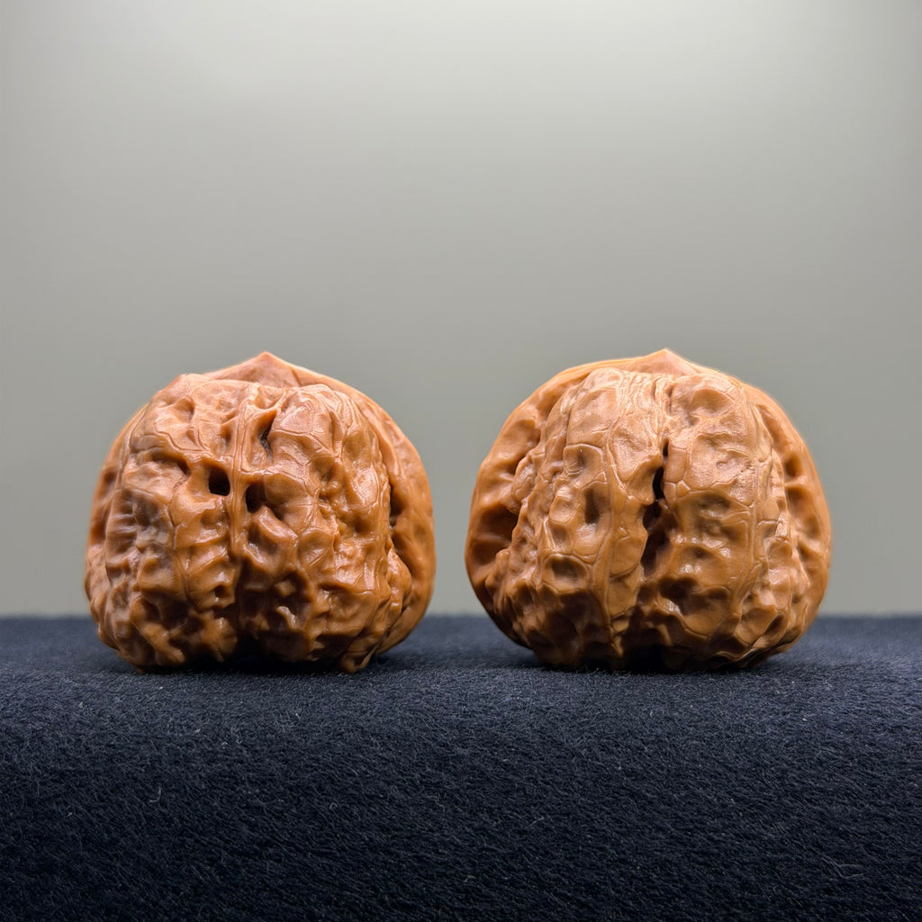 Toad Head Wenwan Walnut · 39mm · Select Ritual