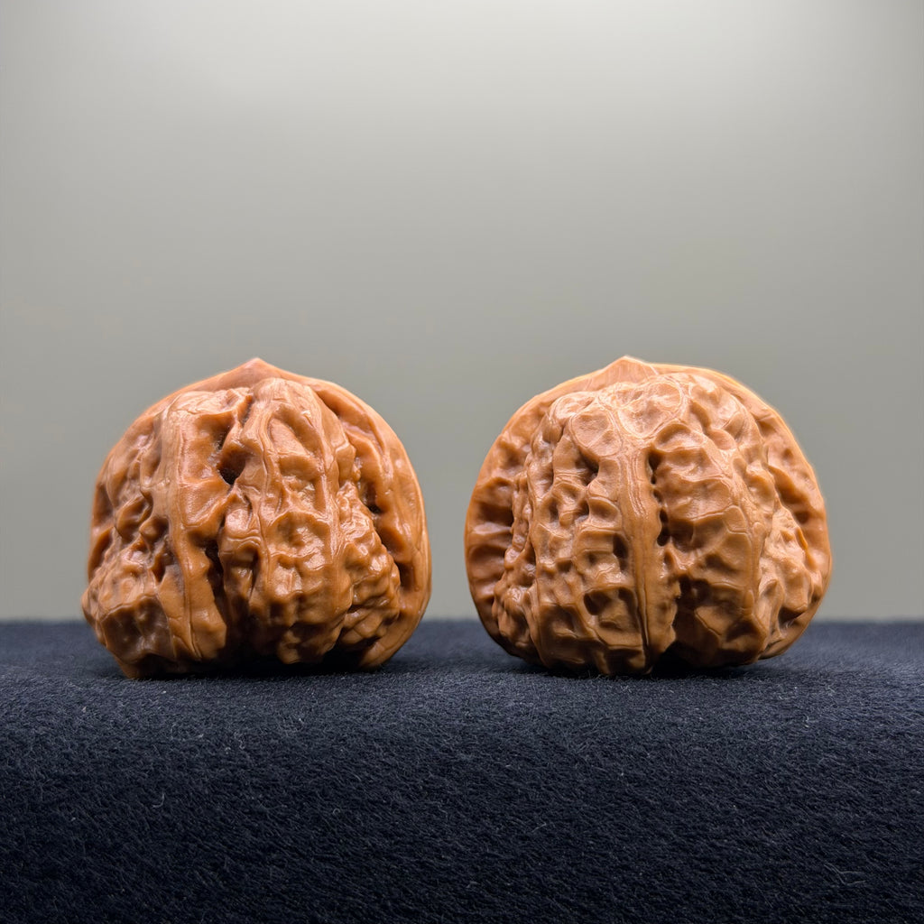 Toad Head Wenwan Walnut · 39mm · Select Ritual
