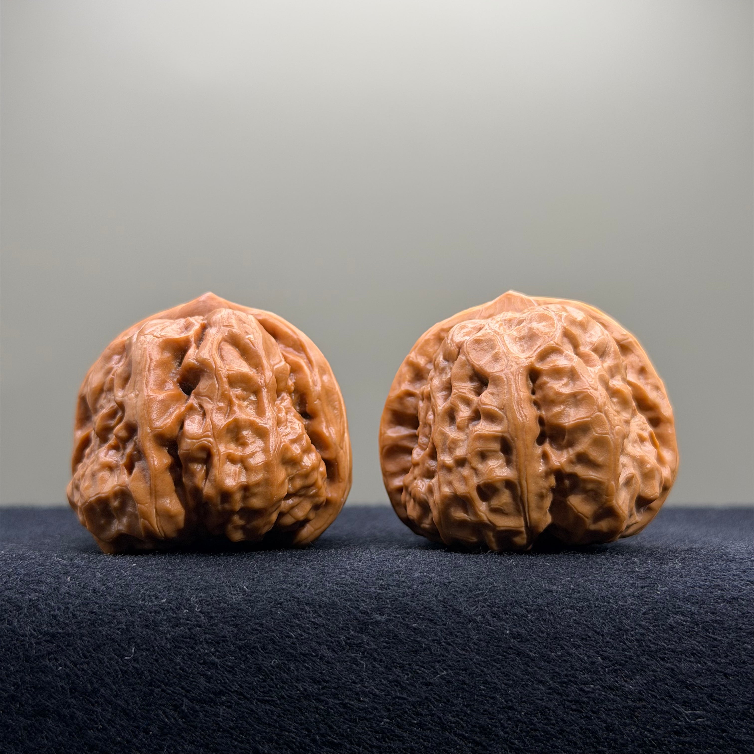Toad Head Wenwan Walnut · 39mm · Select Ritual