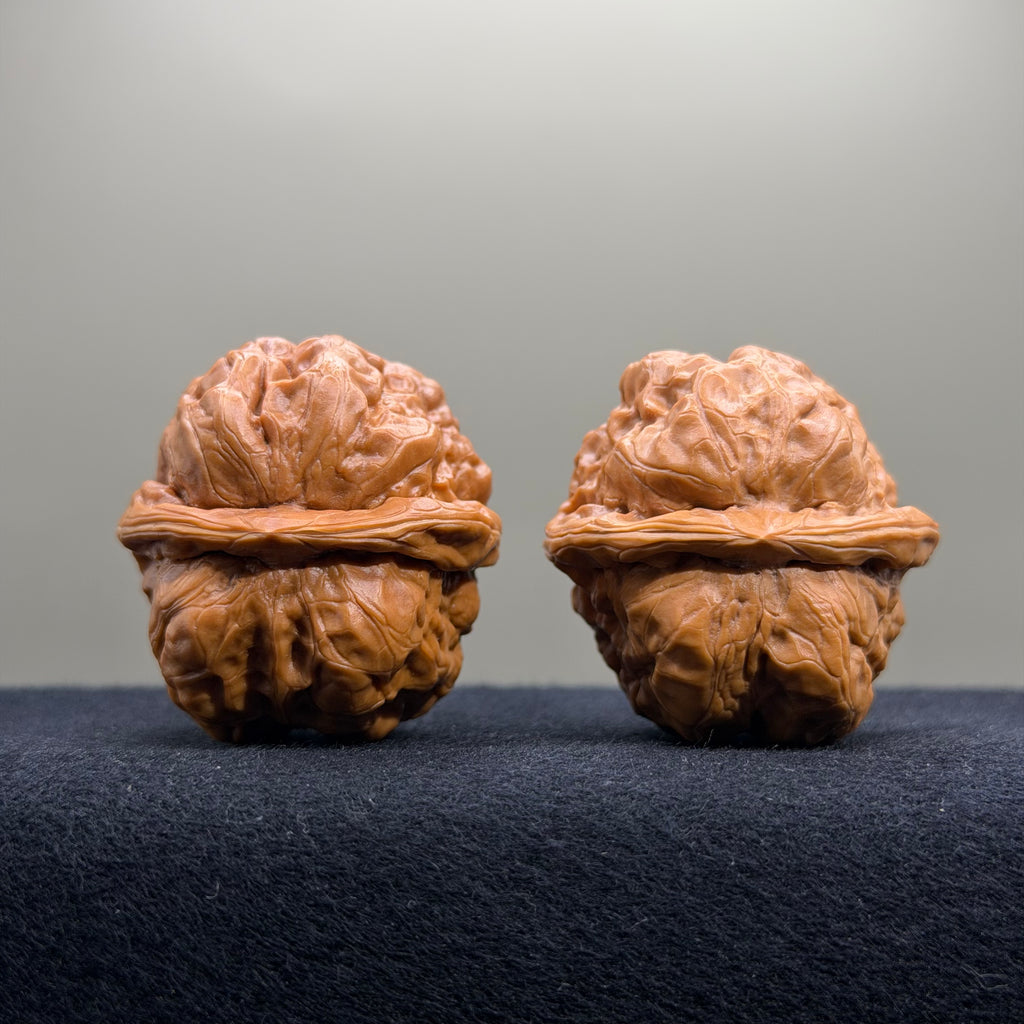 Toad Head Wenwan Walnut · 39mm · Select Ritual