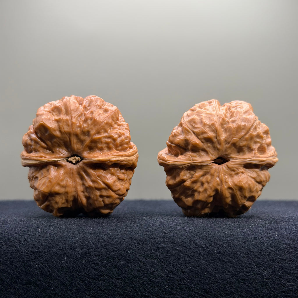Toad Head Wenwan Walnut · 39mm · Select Ritual