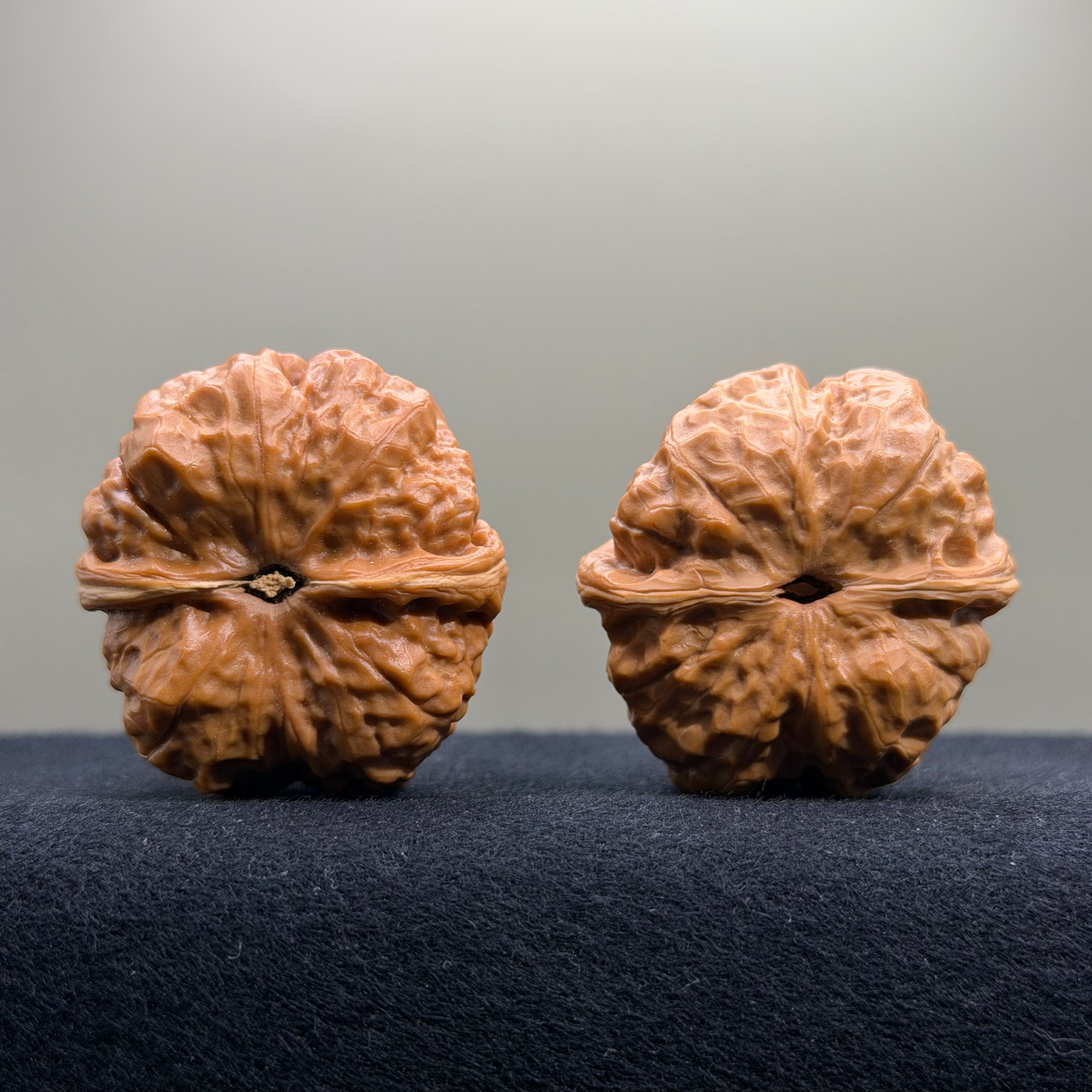 Toad Head Wenwan Walnut · 39mm · Select Ritual