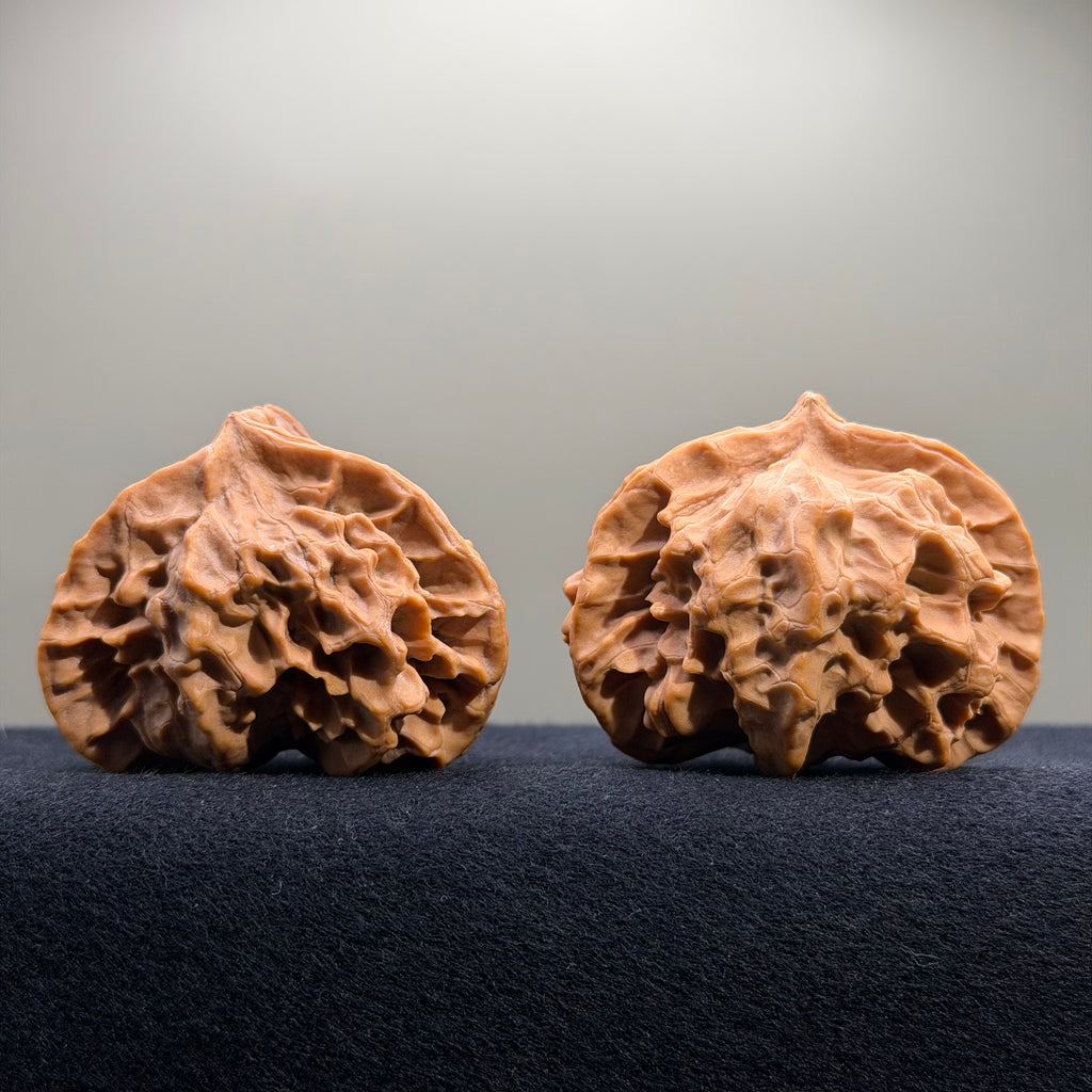 Dragon Cauldron Wenwan Walnut · 53mm · Natural · Premium Ritual