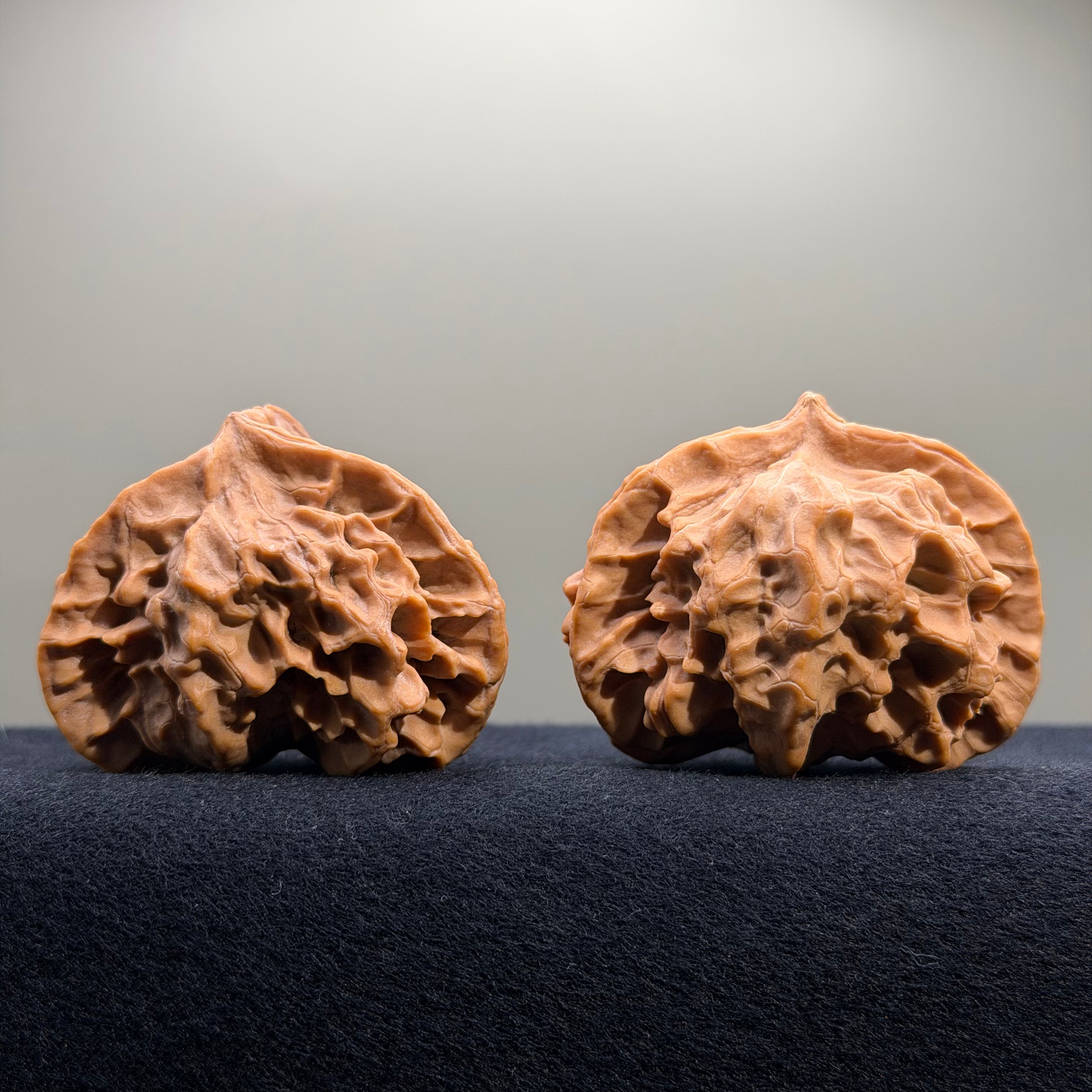 Dragon Cauldron Wenwan Walnut · 53mm · Natural · Premium Ritual