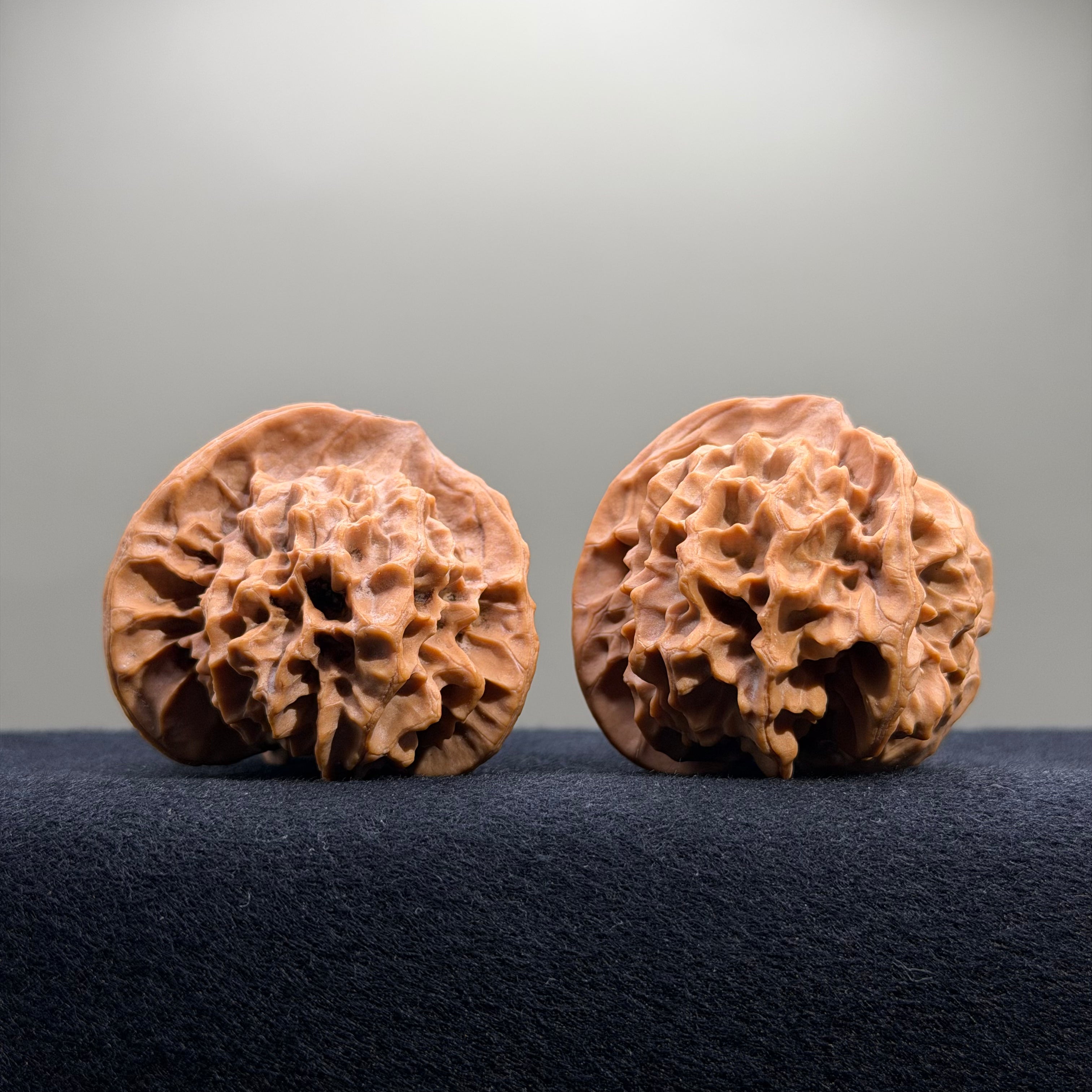 Dragon Cauldron Wenwan Walnut · 53mm · Natural · Premium Ritual
