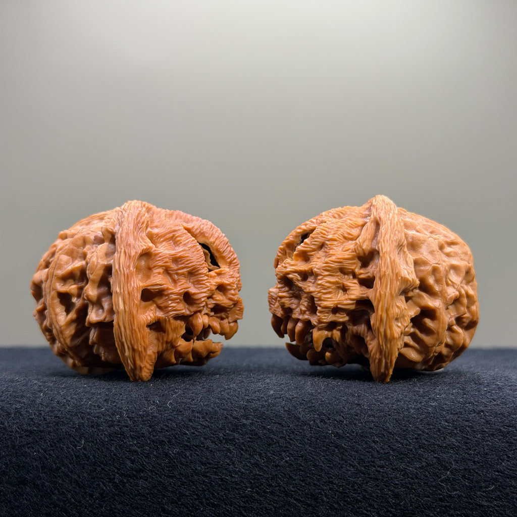 Halloween · Skull Lantern Wenwan Walnut · 45mm · Collector Ritual
