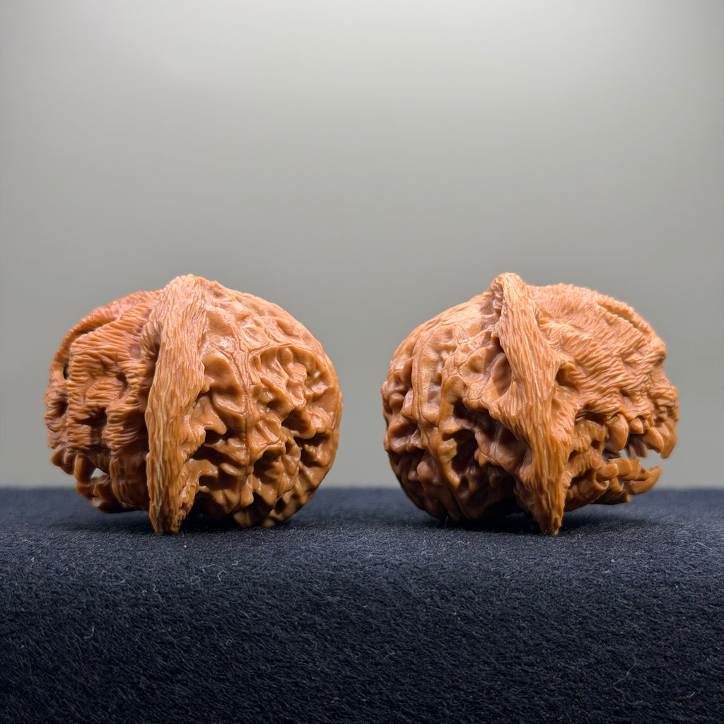 Halloween · Skull Lantern Wenwan Walnut · 45mm · Collector Ritual