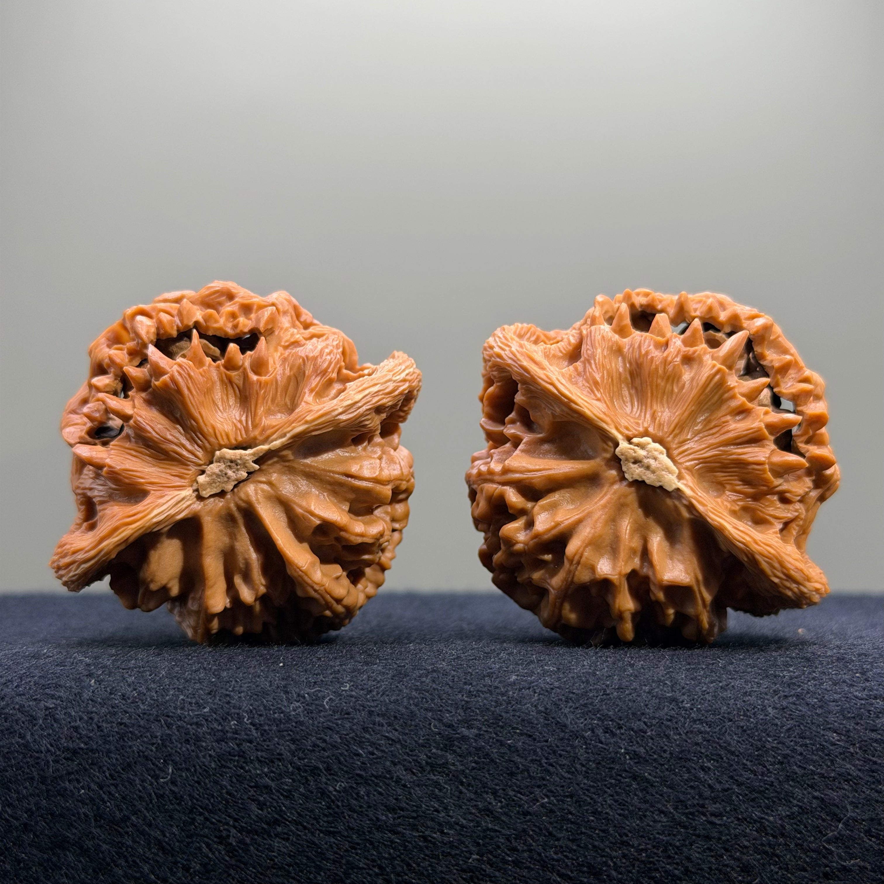 Halloween · Skull Lantern Wenwan Walnut · 45mm · Collector Ritual