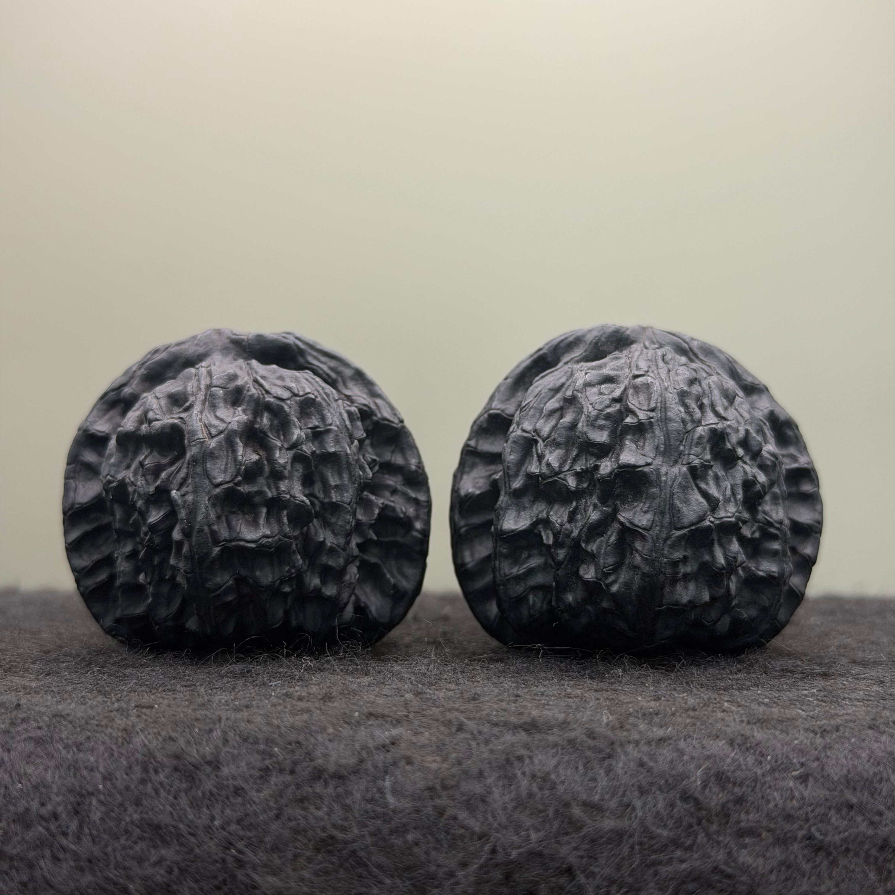 Ground-Buried (Di Men) White Lion Wenwan Walnut