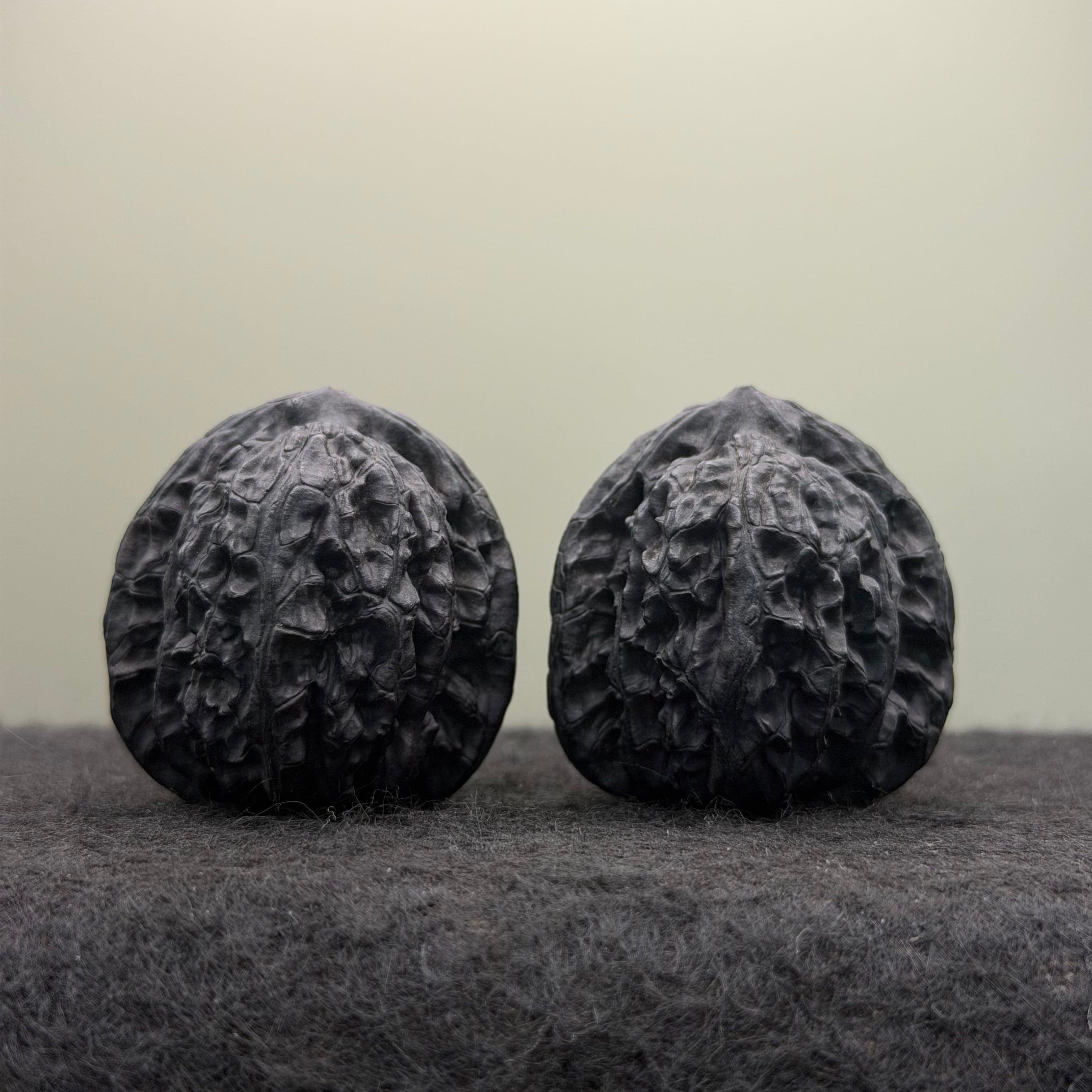 Ground-Buried (Dimen) White Lion Head Wenwan Walnut
