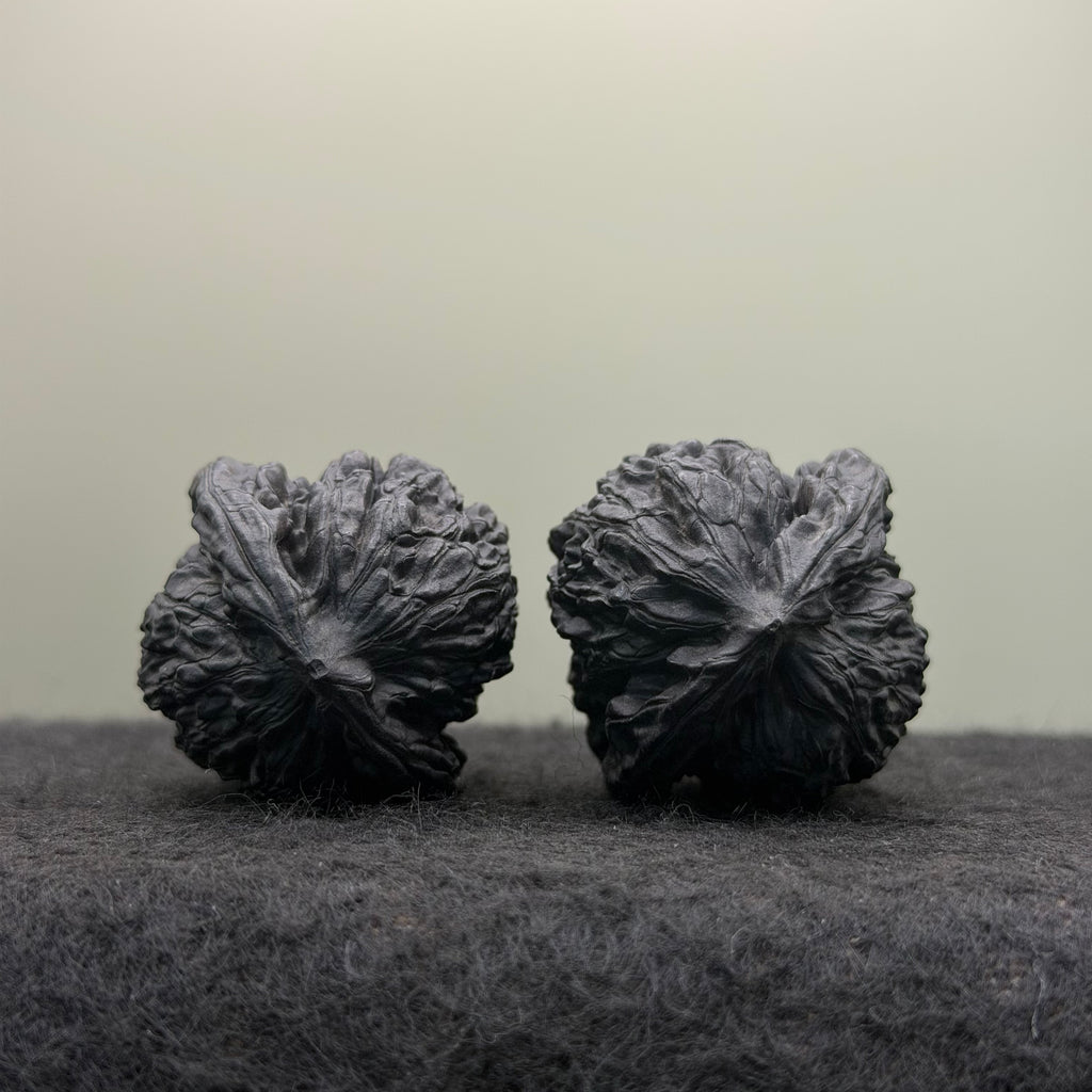 Ground-Buried (Dimen) White Lion Head Wenwan Walnut