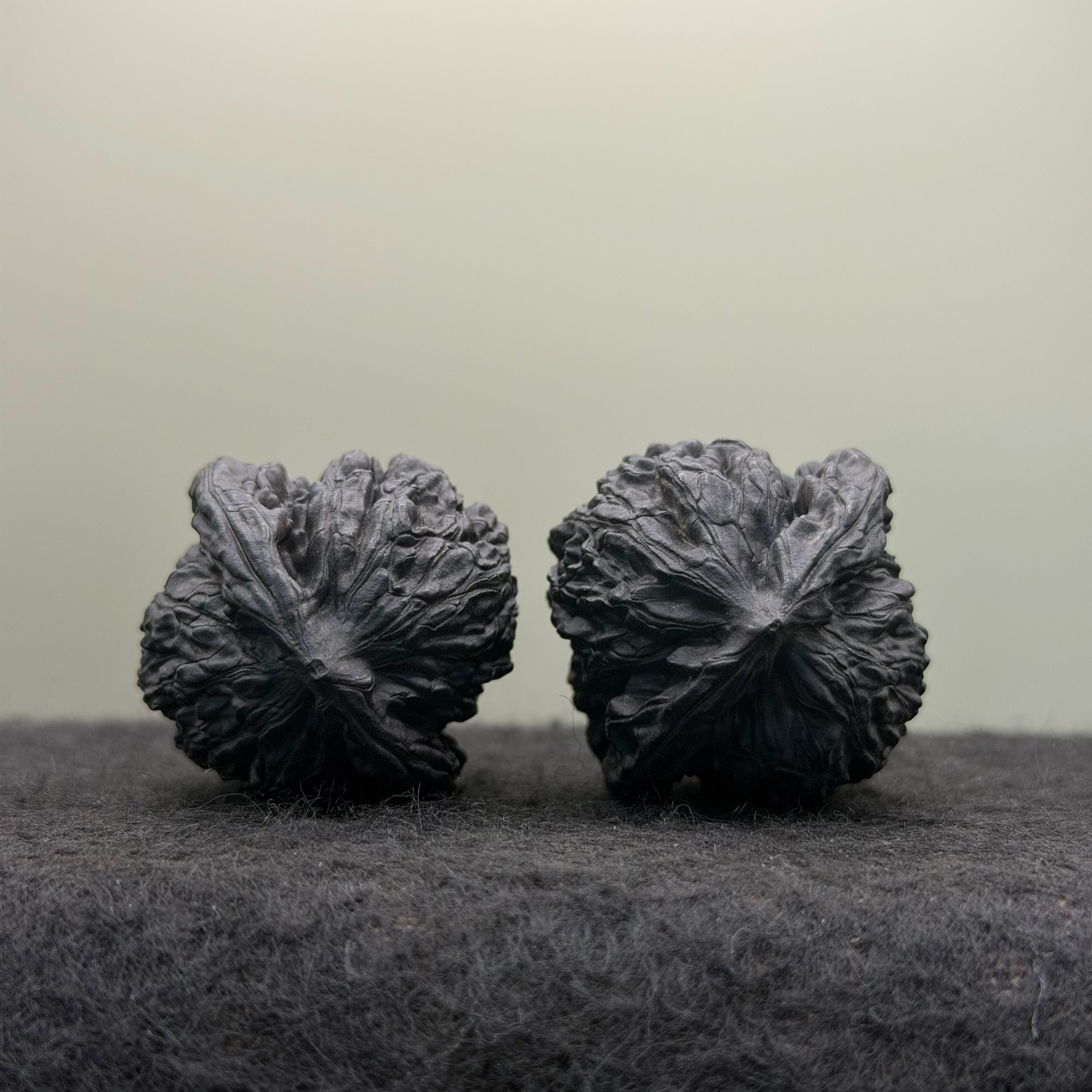 Ground-Buried (Dimen) White Lion Head Wenwan Walnut