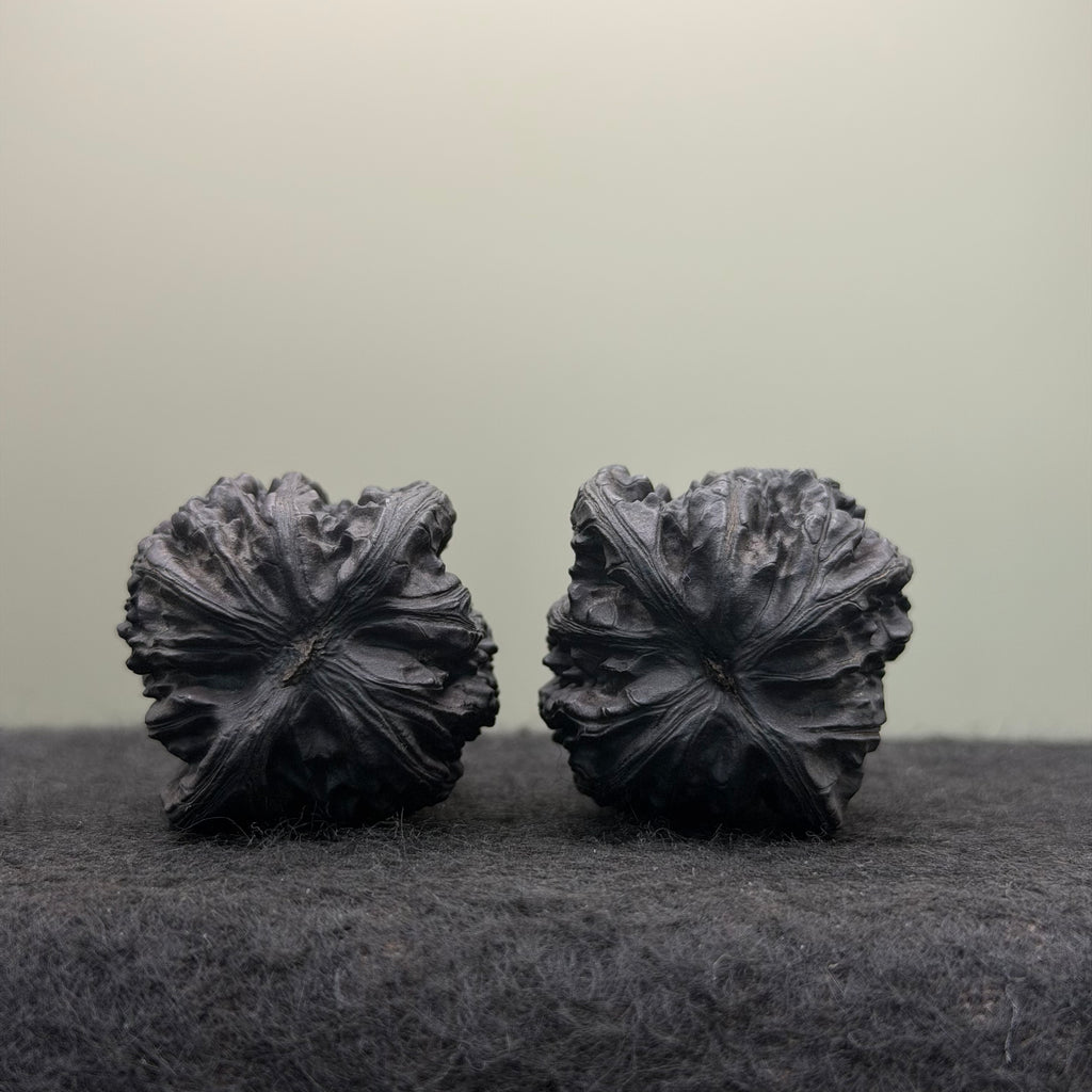 Ground-Buried (Dimen) White Lion Head Wenwan Walnut