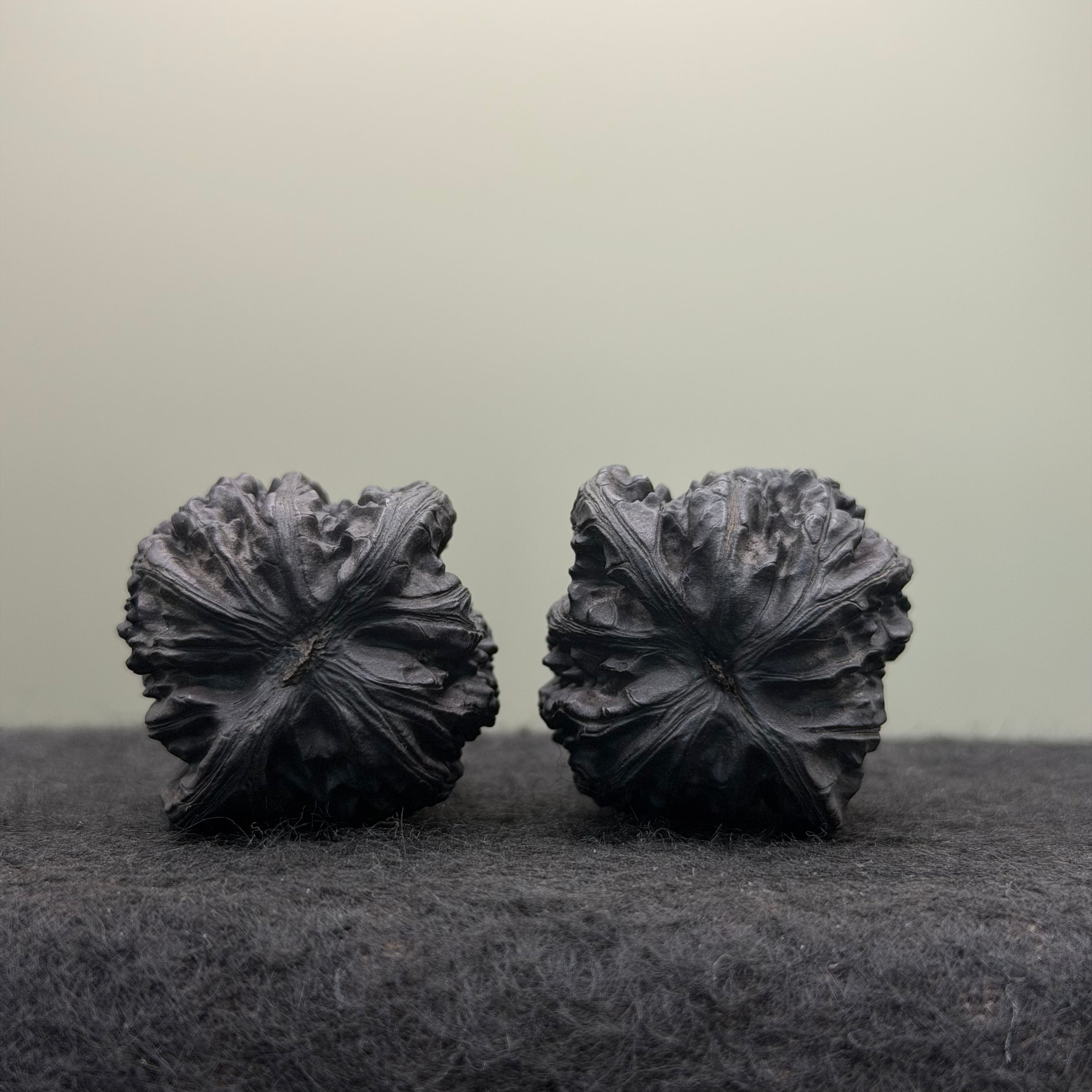 Ground-Buried (Dimen) White Lion Head Wenwan Walnut