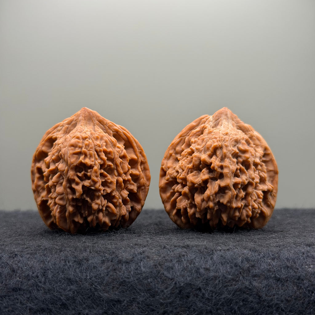 Starry Sky Lion Head Wenwan Walnut