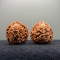 Starry Sky Lion Head Wenwan Walnut