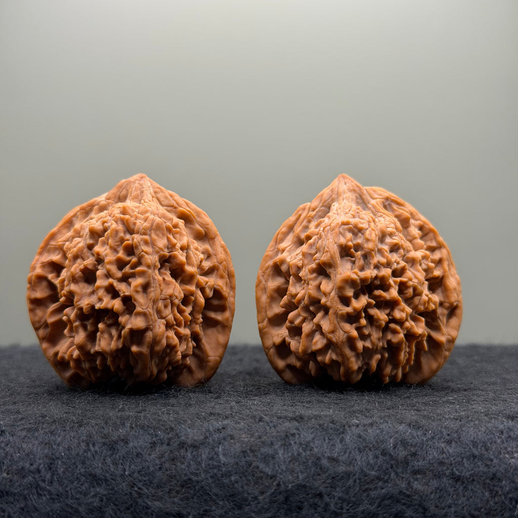 Starry Sky Lion Head Wenwan Walnut