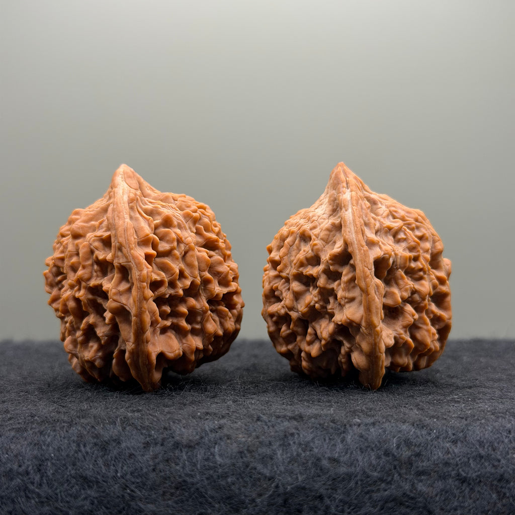 Starry Sky Lion Head Wenwan Walnut