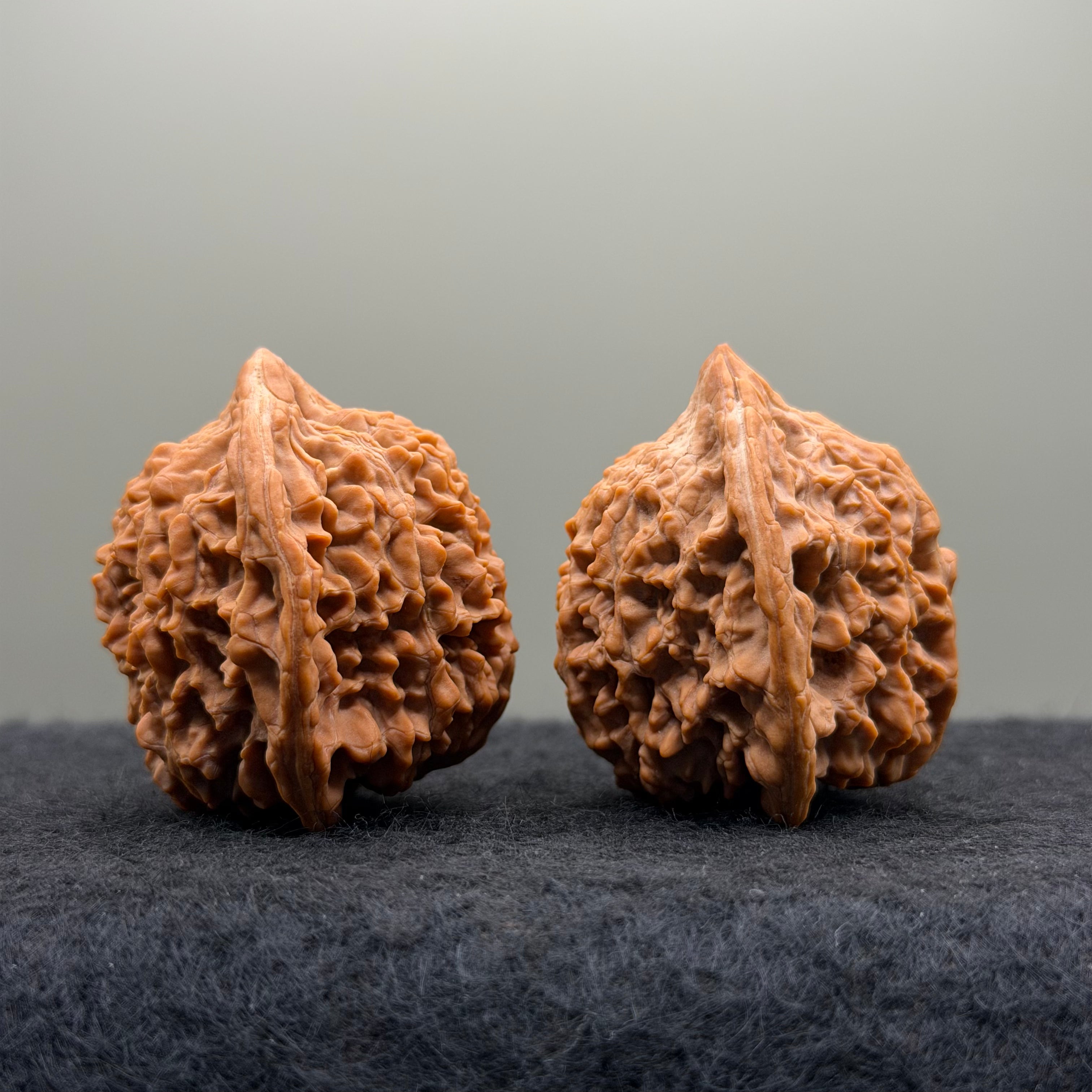 Starry Sky Lion Head Wenwan Walnut