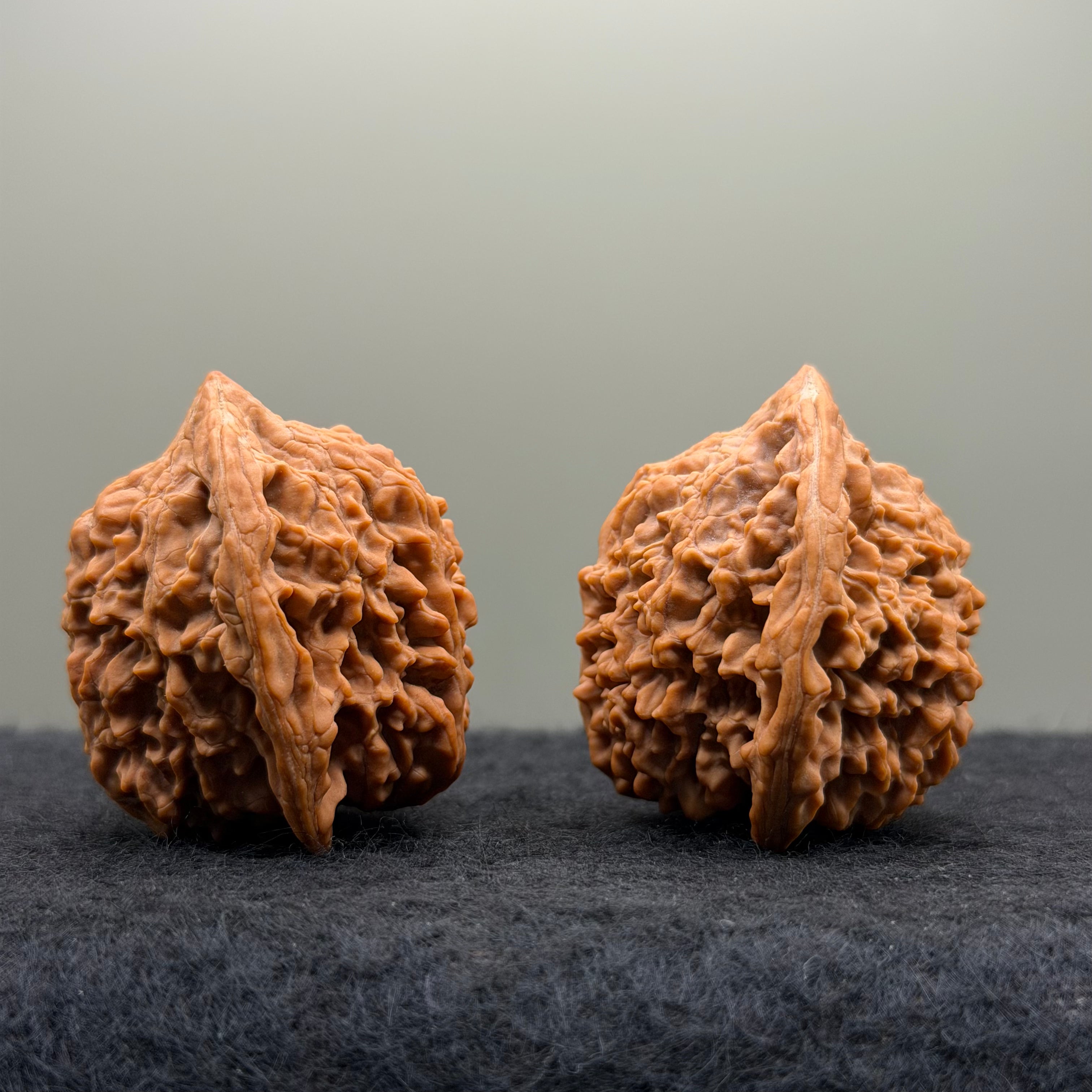 Starry Sky Lion Head Wenwan Walnut