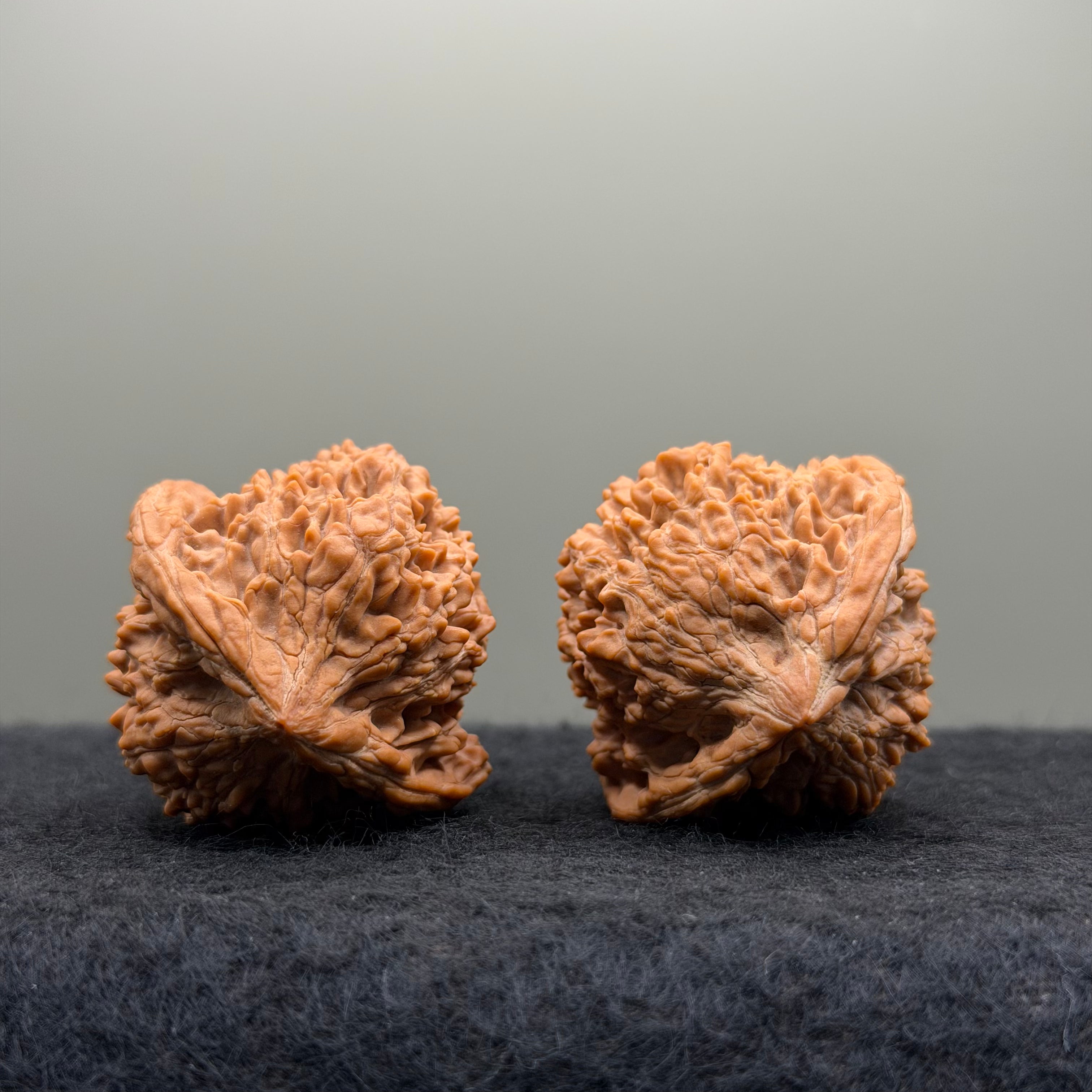 Starry Sky Lion Head Wenwan Walnut