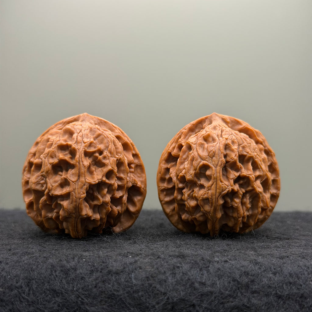 Apple Orchard Wenwan Walnut