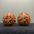 Apple Orchard Wenwan Walnut