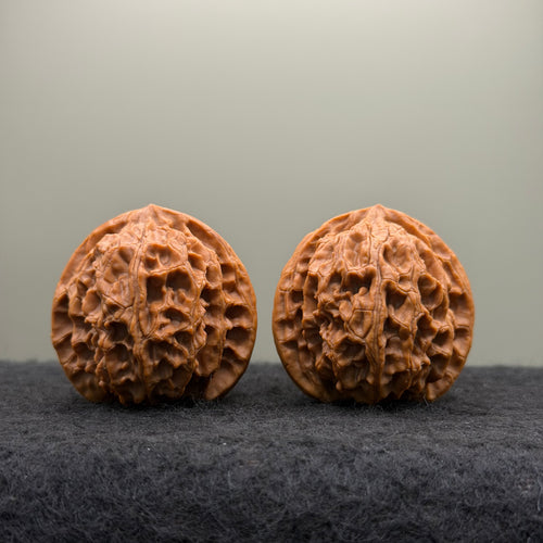 Apple Orchard Wenwan Walnut
