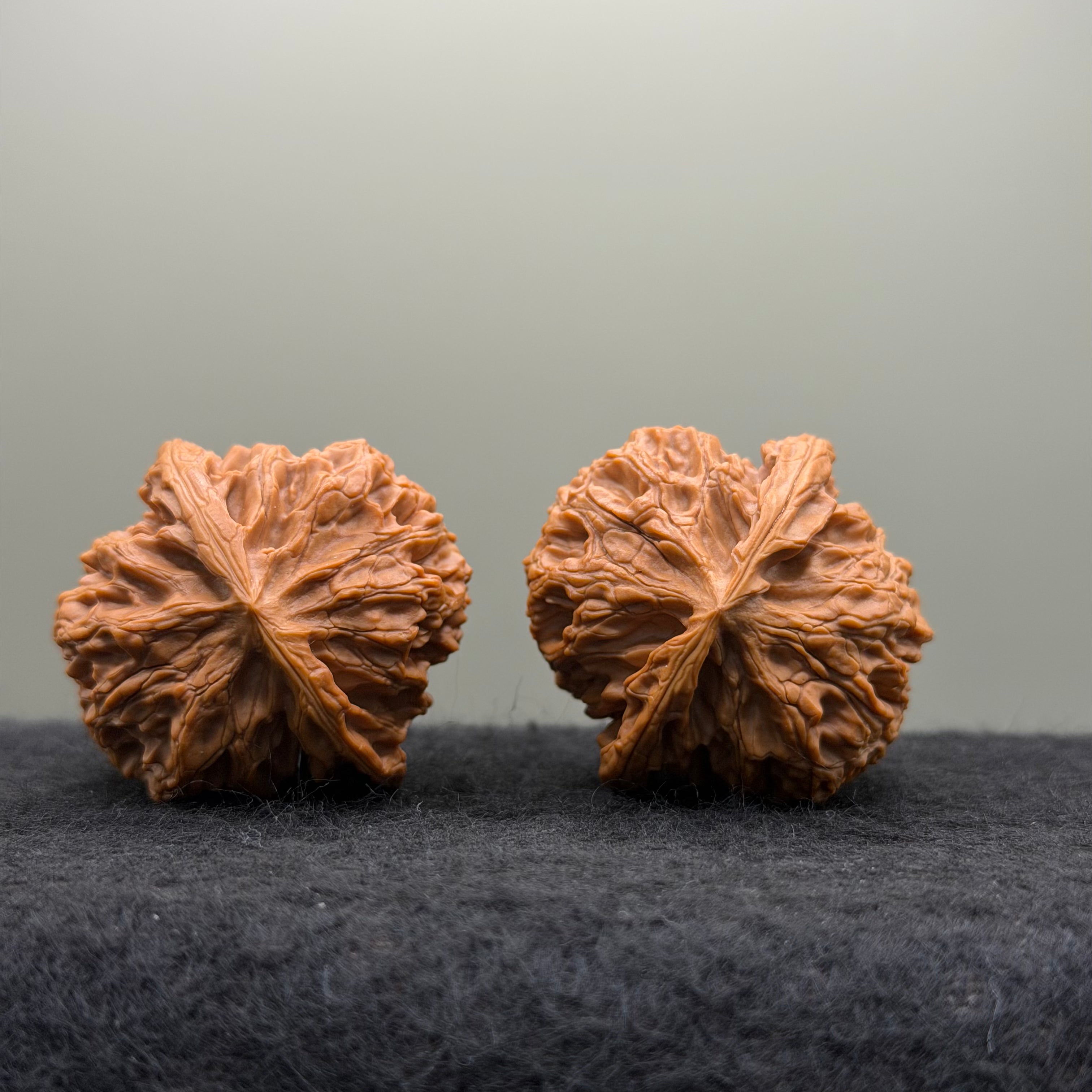 Apple Orchard Lion Head Wenwan Walnut