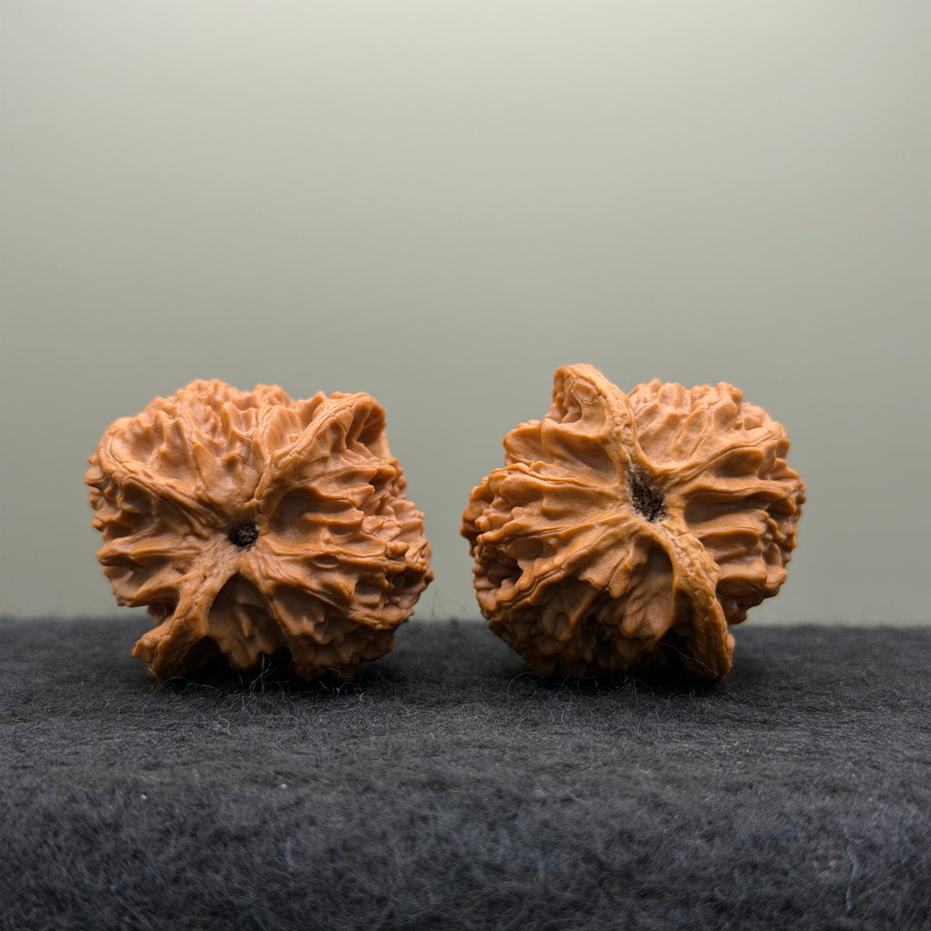 Apple Orchard Wenwan Walnut