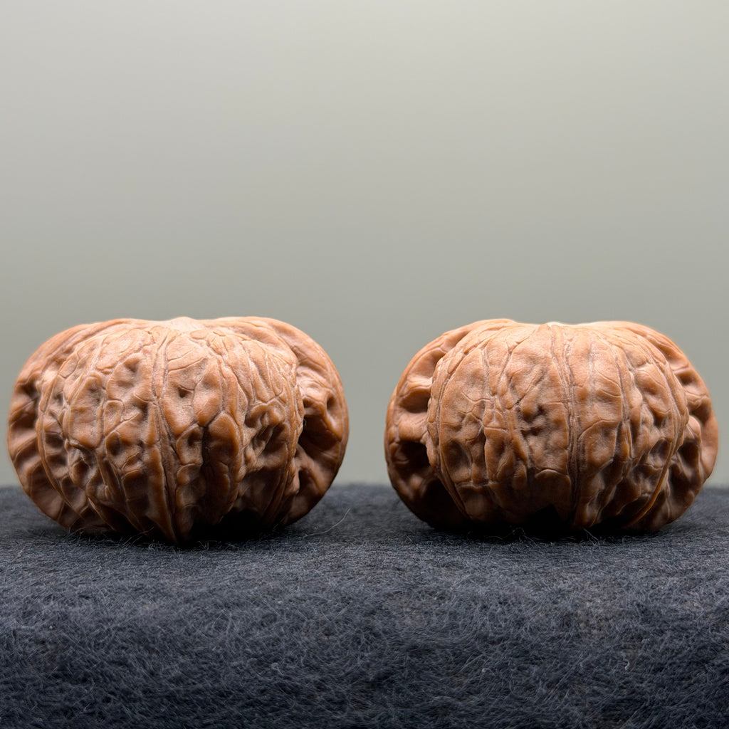 War Drum Lion Head Wenwan Walnut