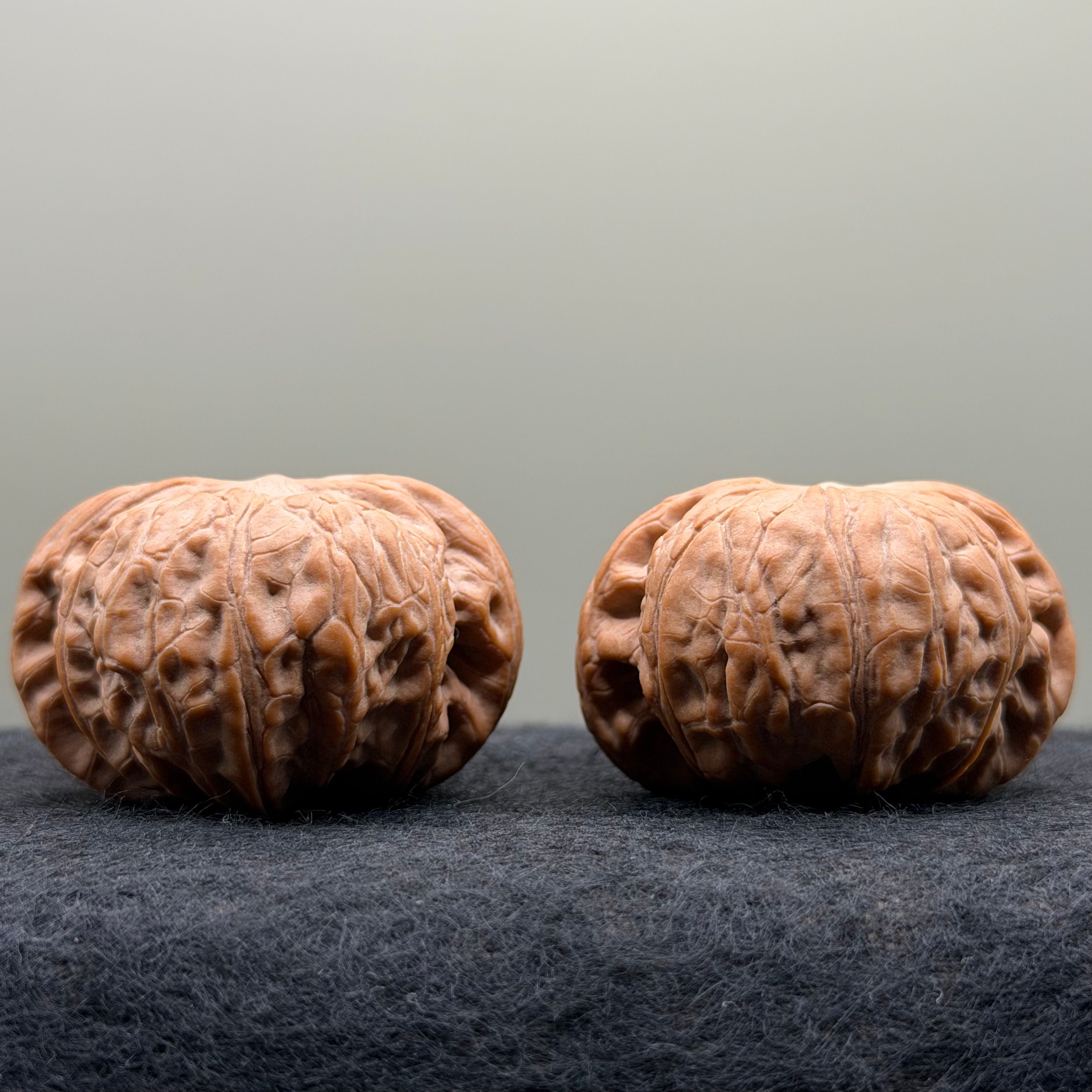 War Drum Lion Head Wenwan Walnut