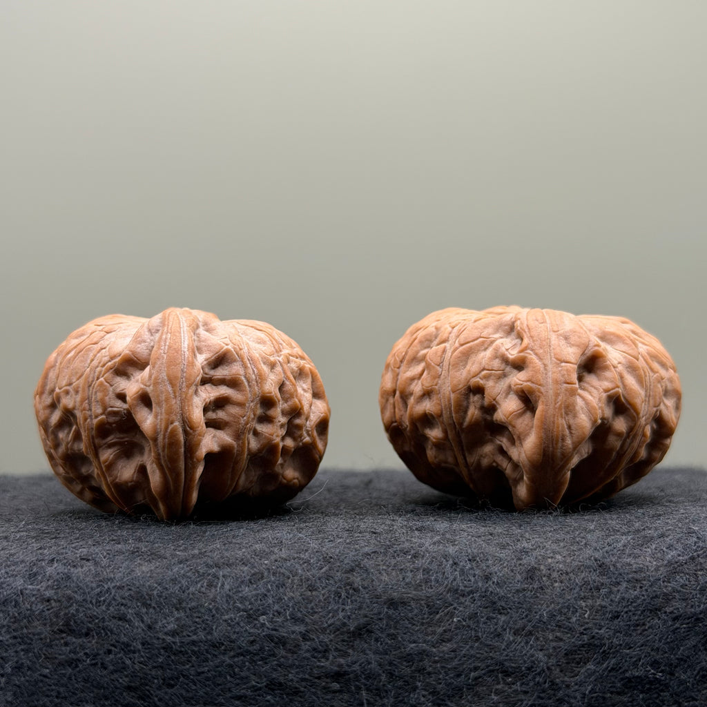 War Drum Lion Head Wenwan Walnut